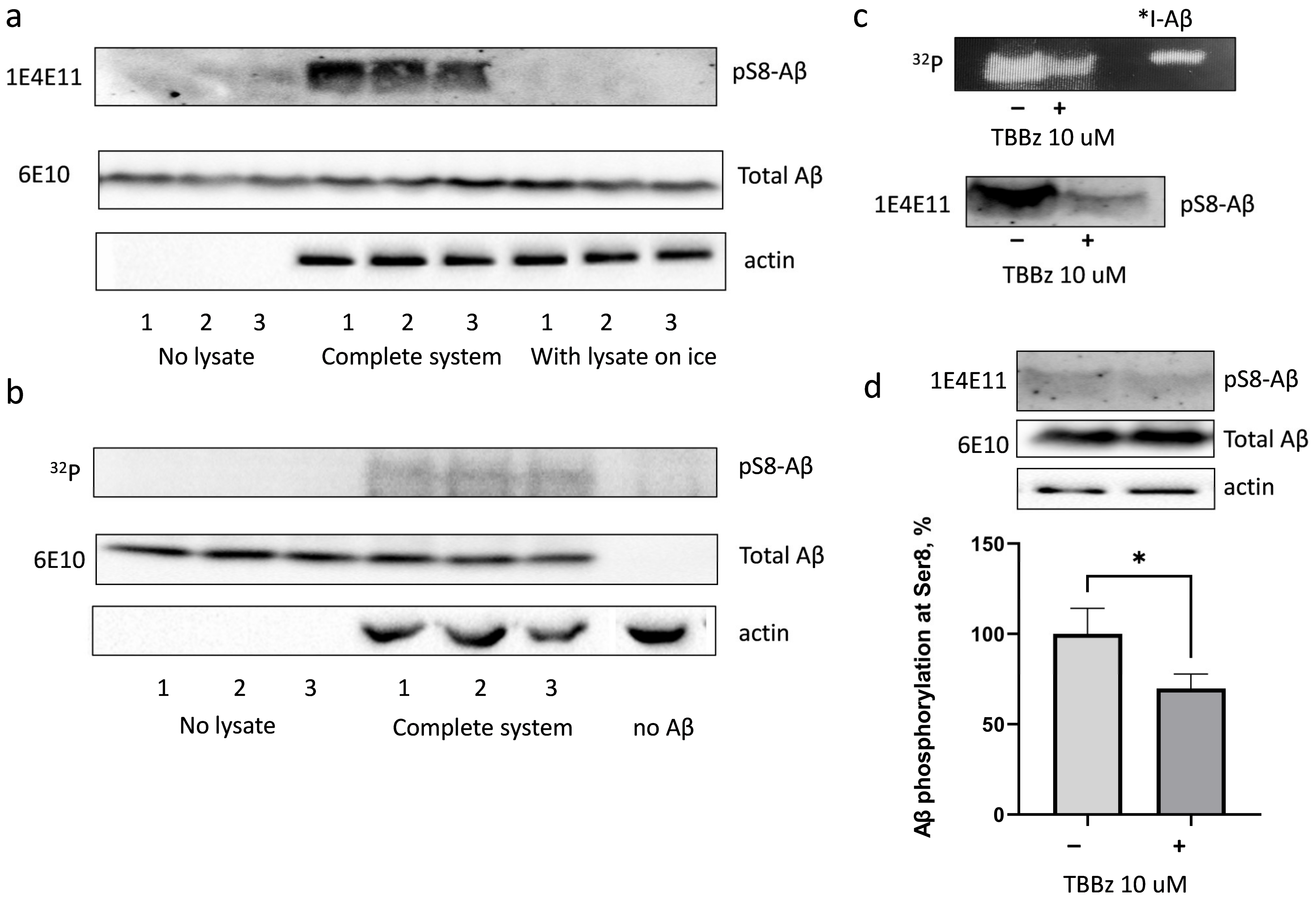 Life 13 00147 g001 Life 13 00147 g001