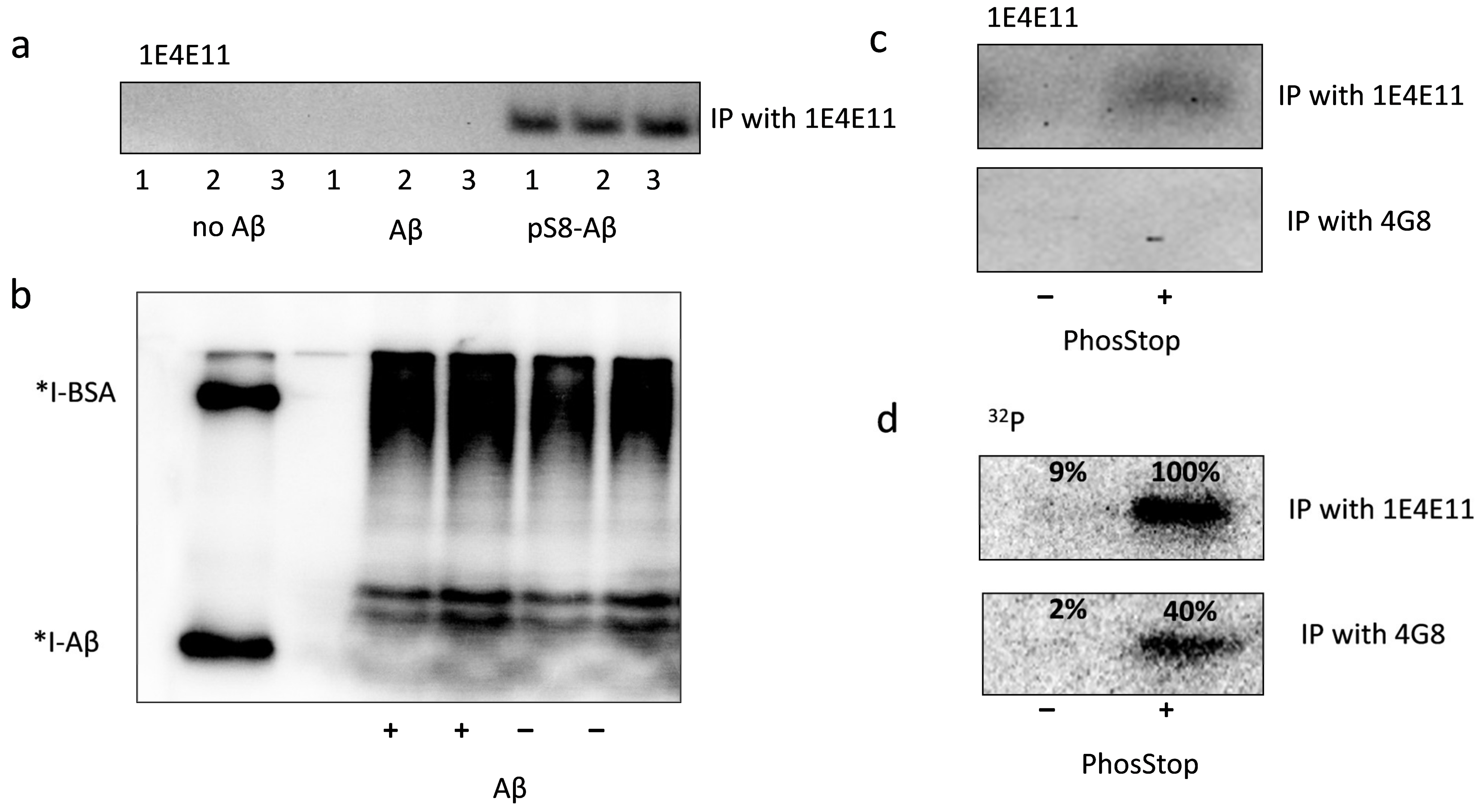 Life 13 00147 g002 Life 13 00147 g002
