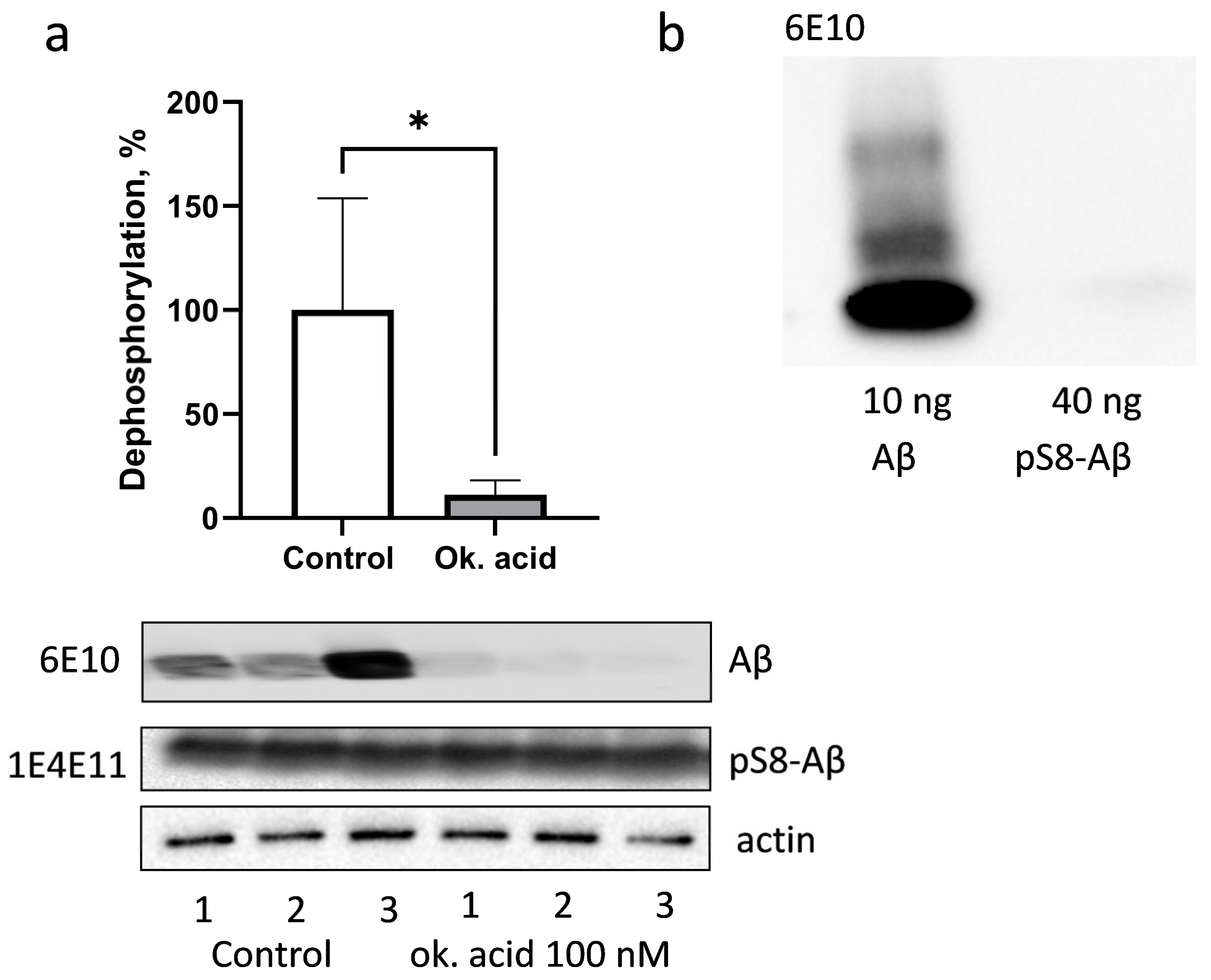 Life 13 00147 g003 Life 13 00147 g003