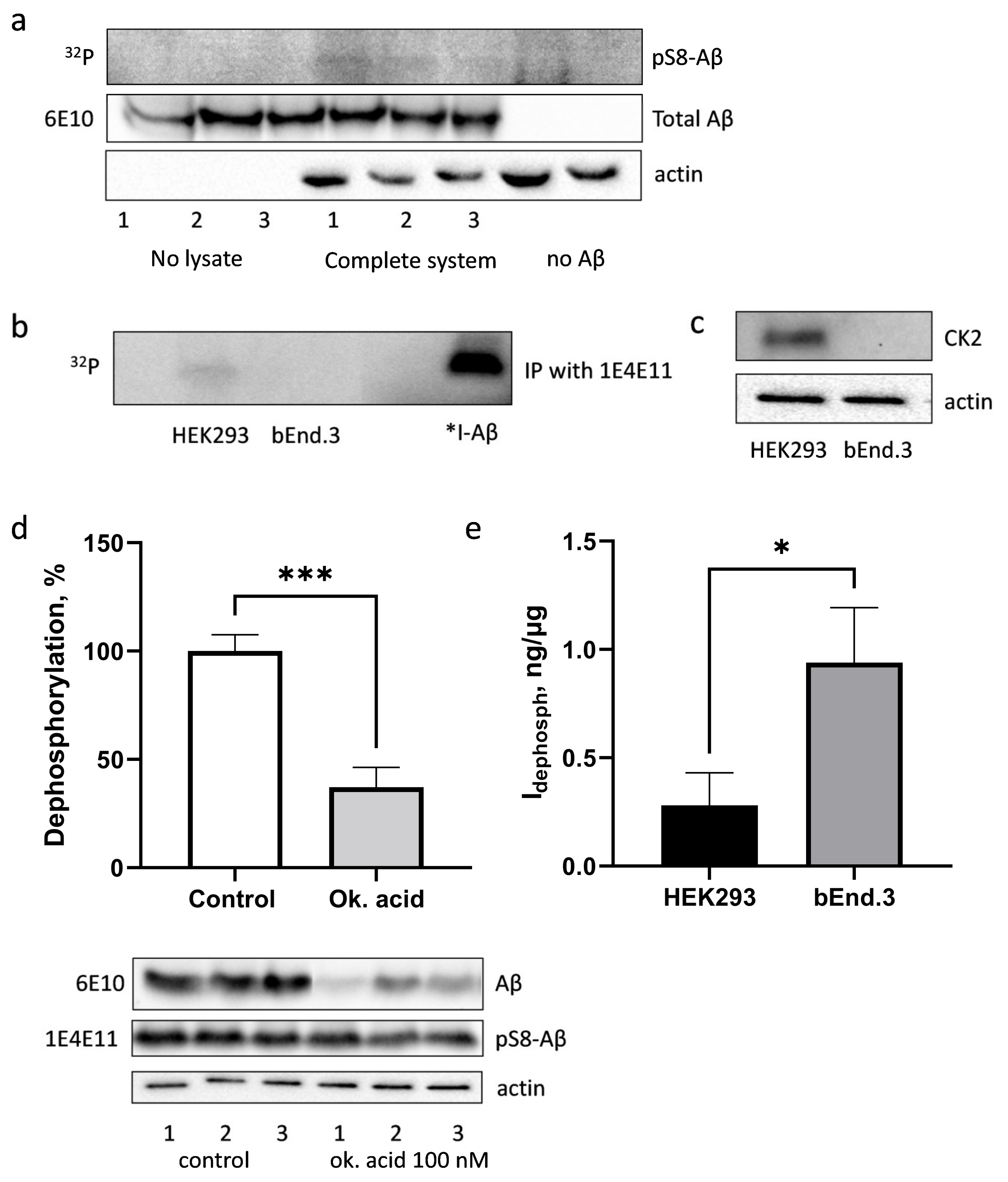 Life 13 00147 g004 Life 13 00147 g004