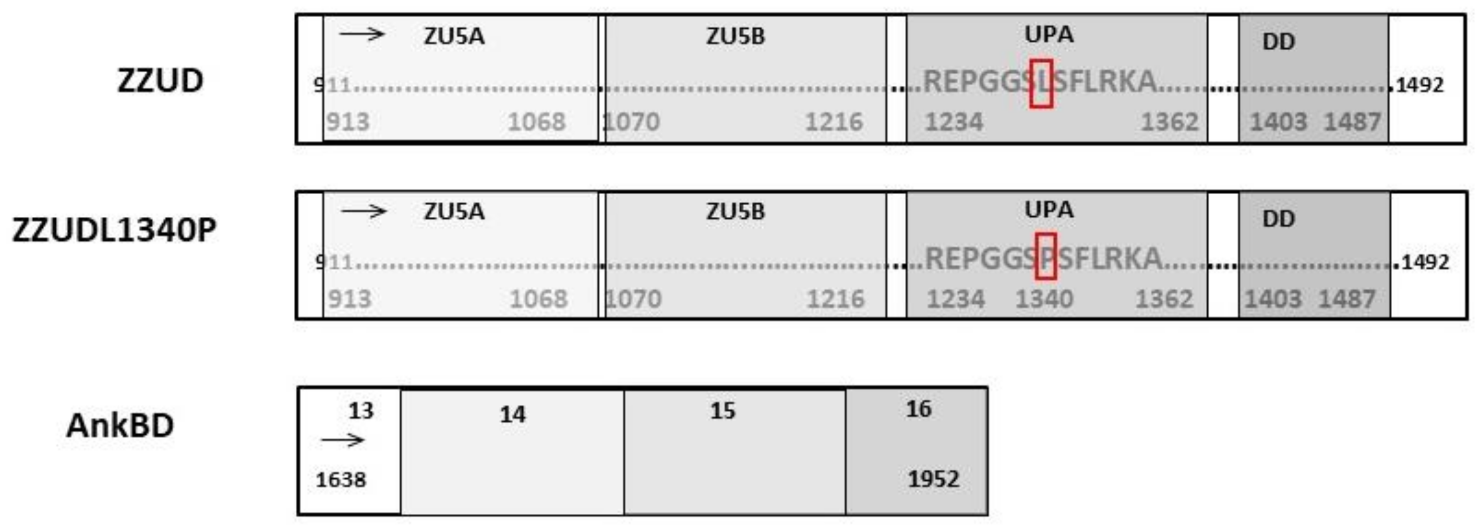 Life 13 00151 g001 Life 13 00151 g001