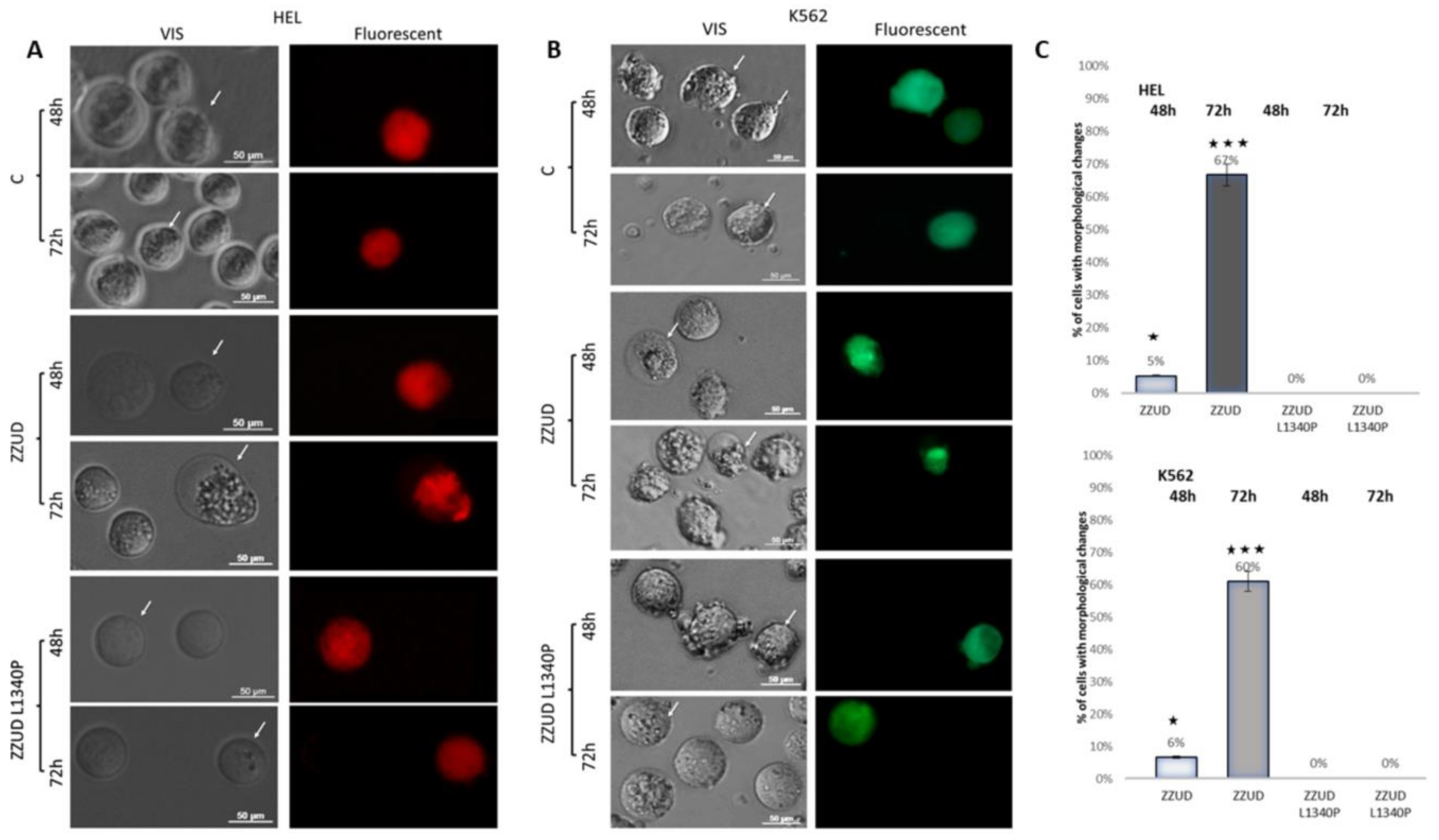 Life 13 00151 g004 Life 13 00151 g004