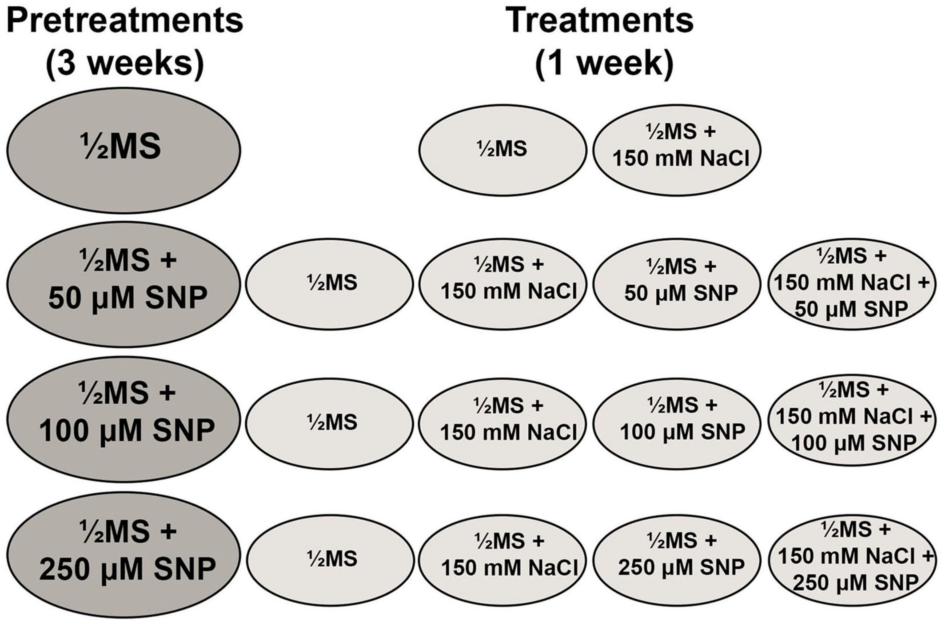 Life 13 00154 g001 Life 13 00154 g001
