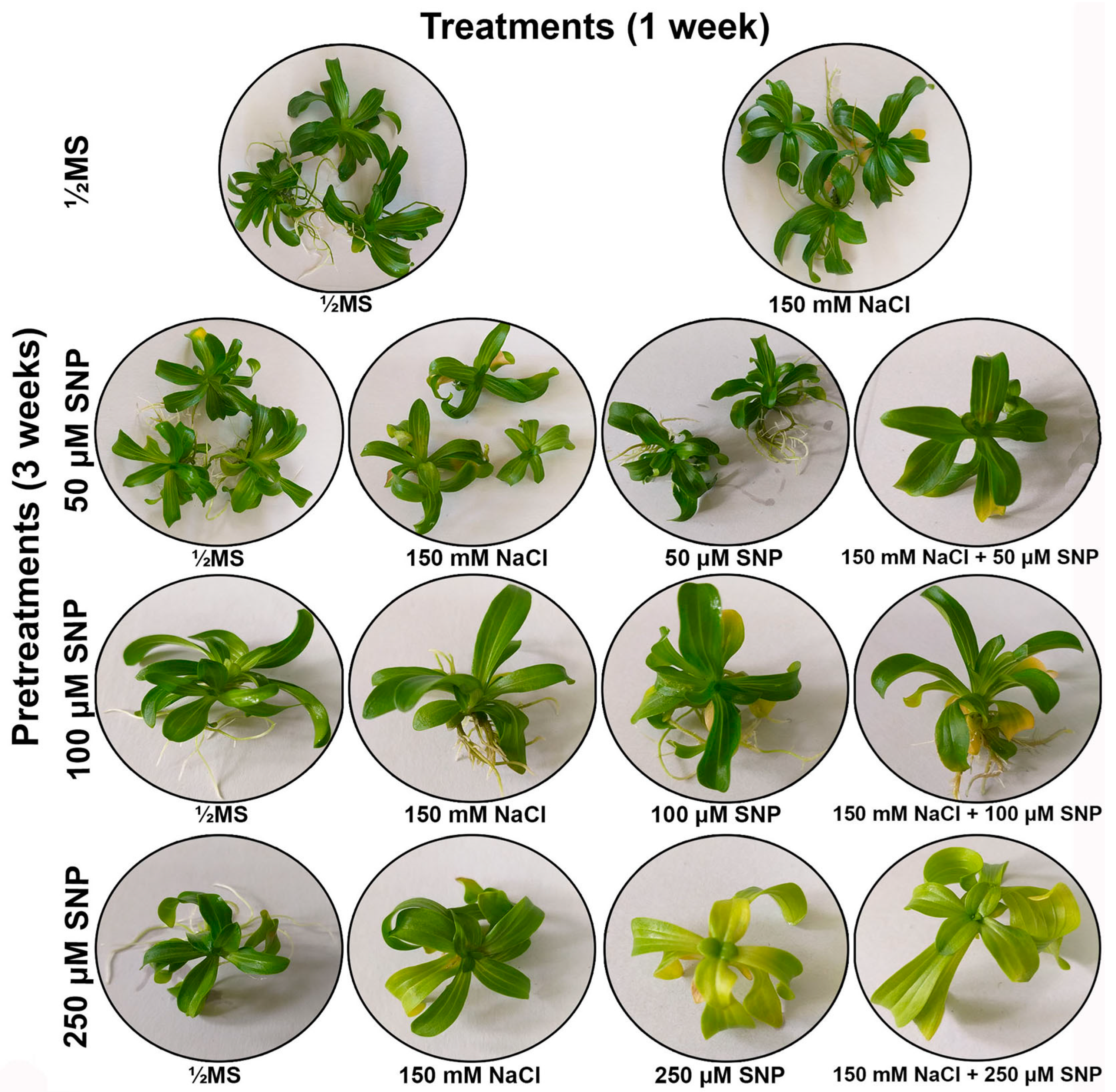 Life 13 00154 g002 Life 13 00154 g002