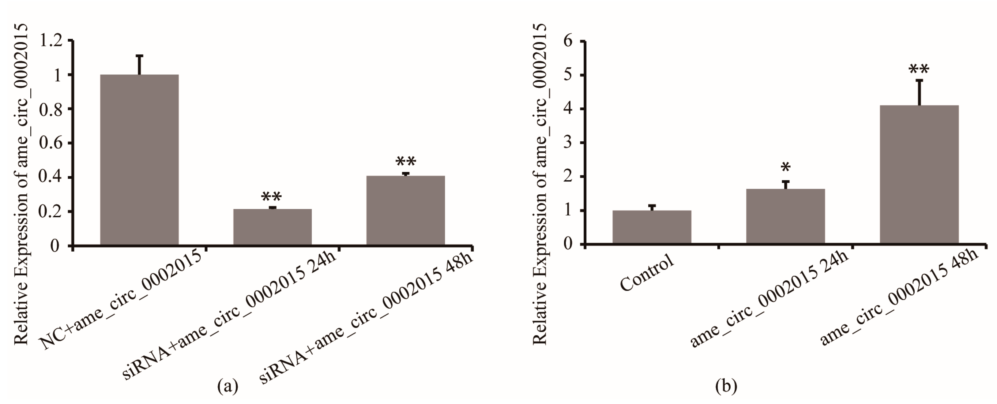 Life 13 00161 g002 Life 13 00161 g002