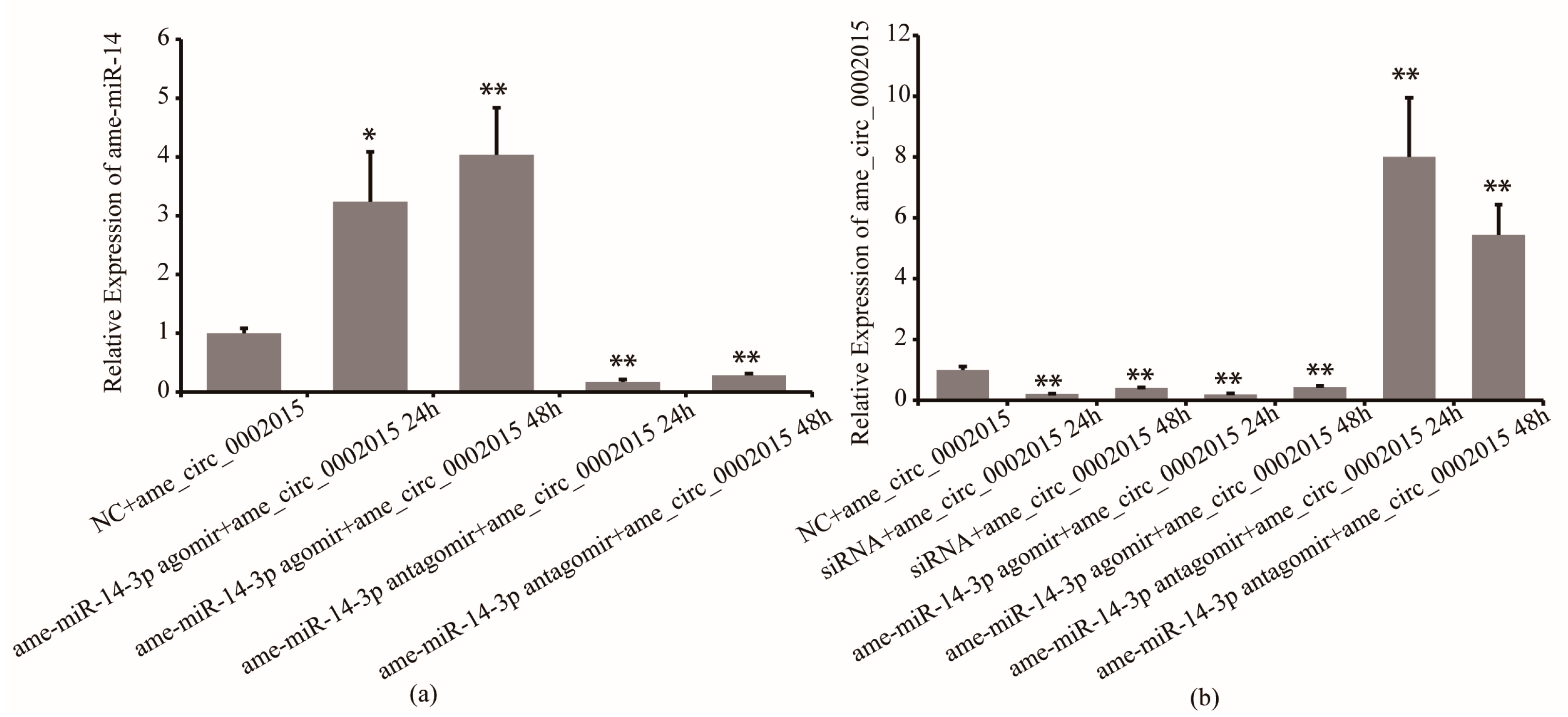 Life 13 00161 g003 Life 13 00161 g003