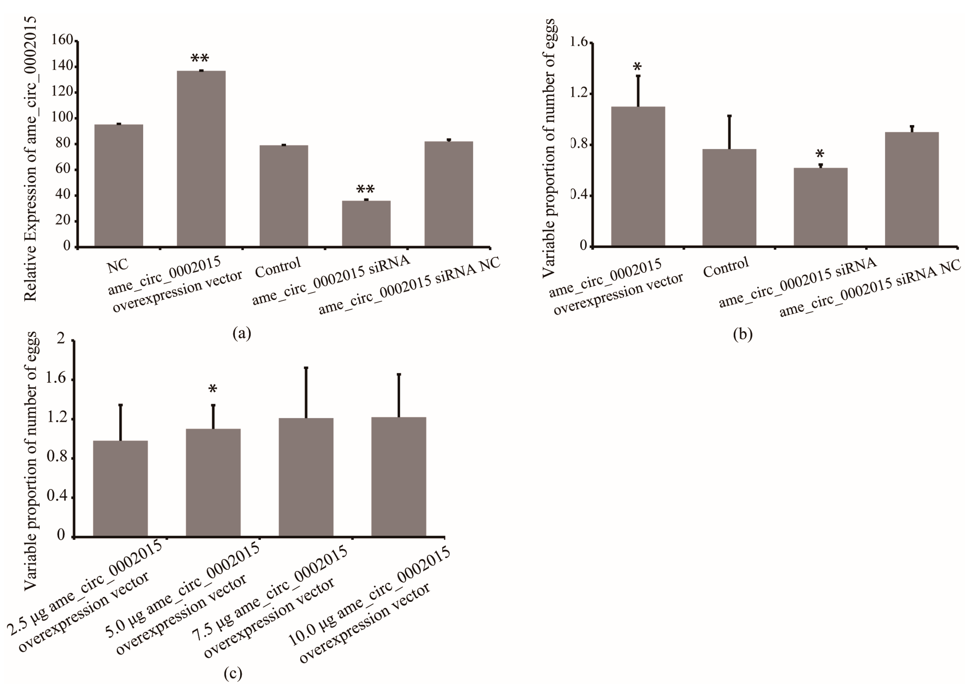 Life 13 00161 g004 Life 13 00161 g004
