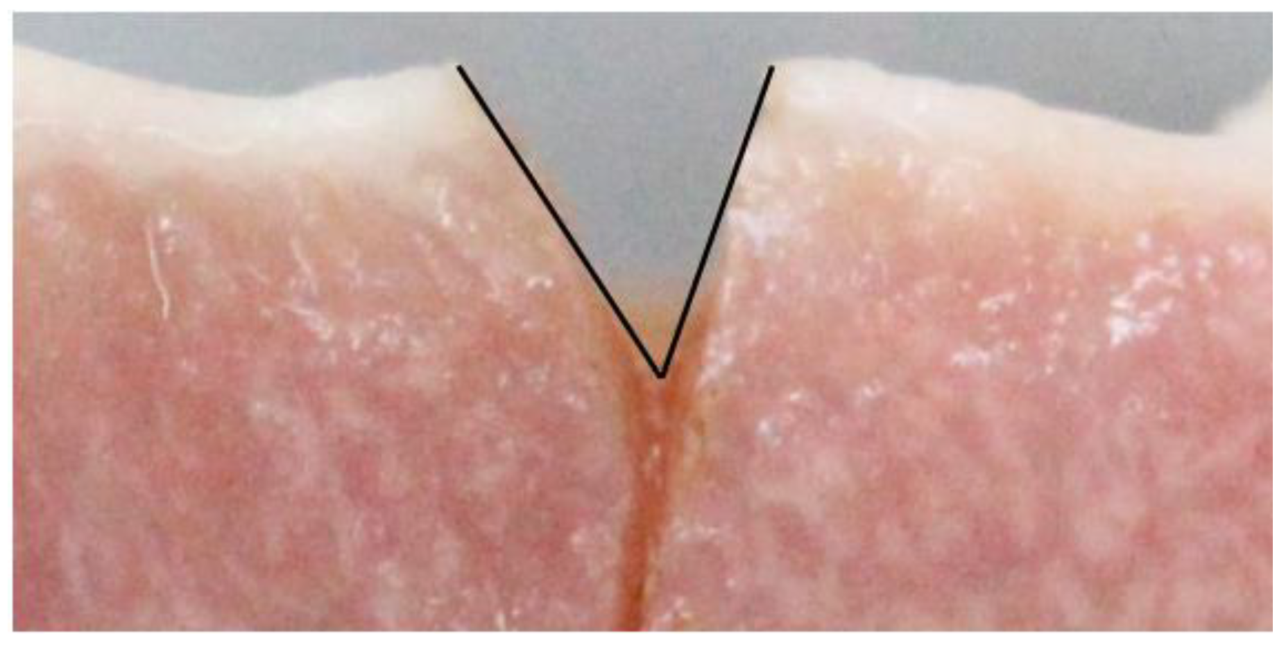 Life 13 00162 g005 Life 13 00162 g005