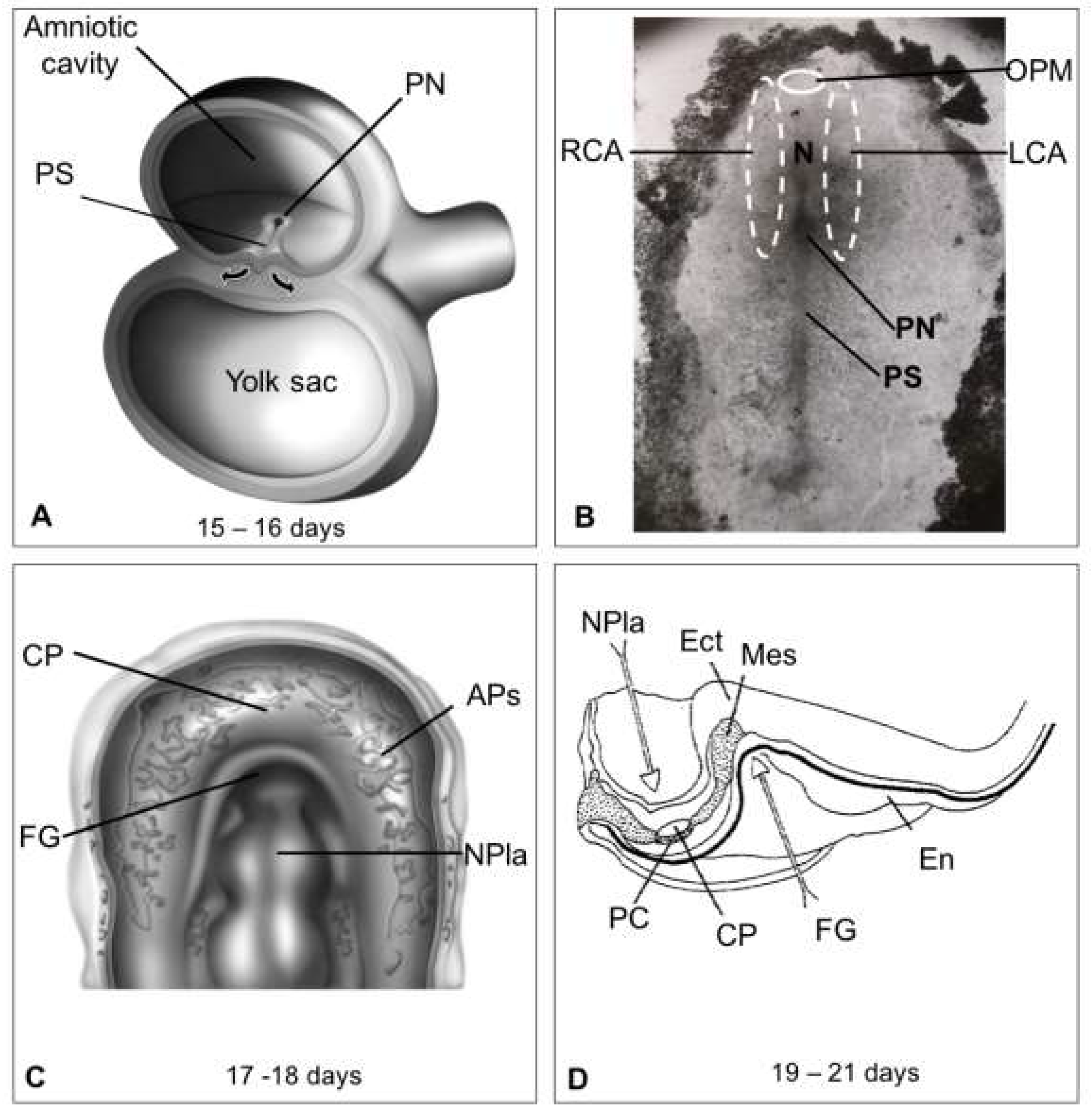 Life 13 00165 g002 Life 13 00165 g002