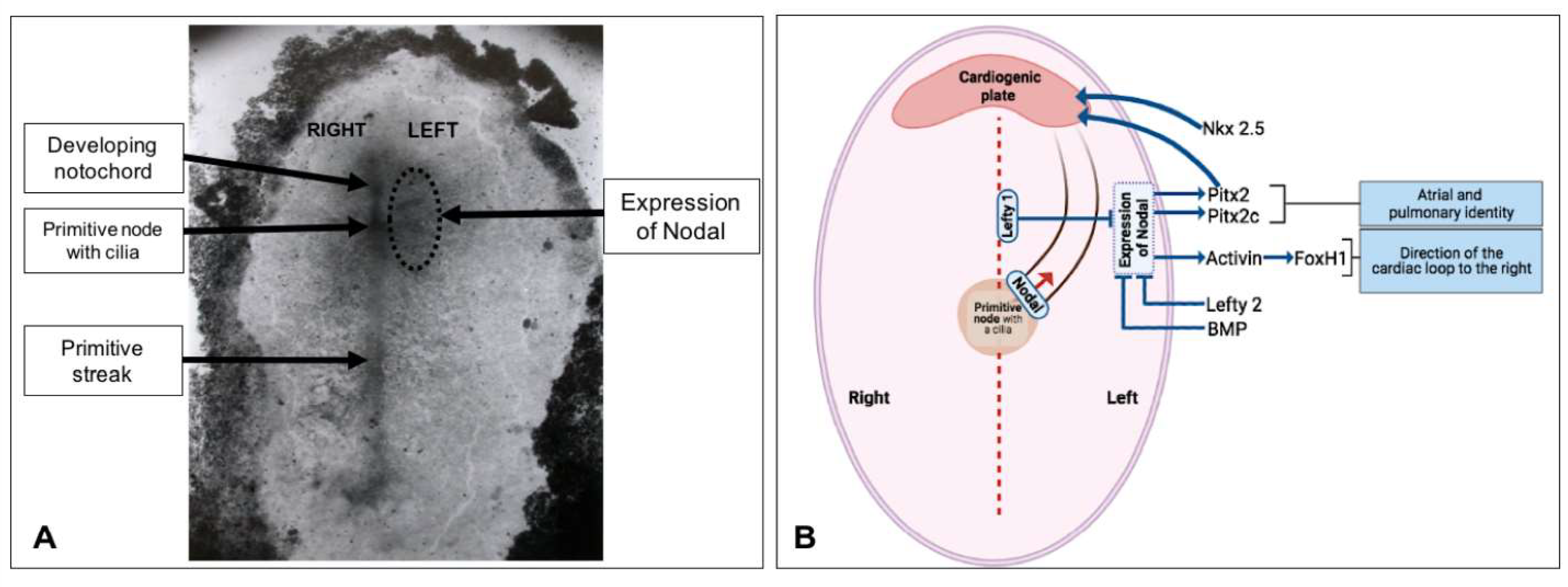 Life 13 00165 g005 Life 13 00165 g005