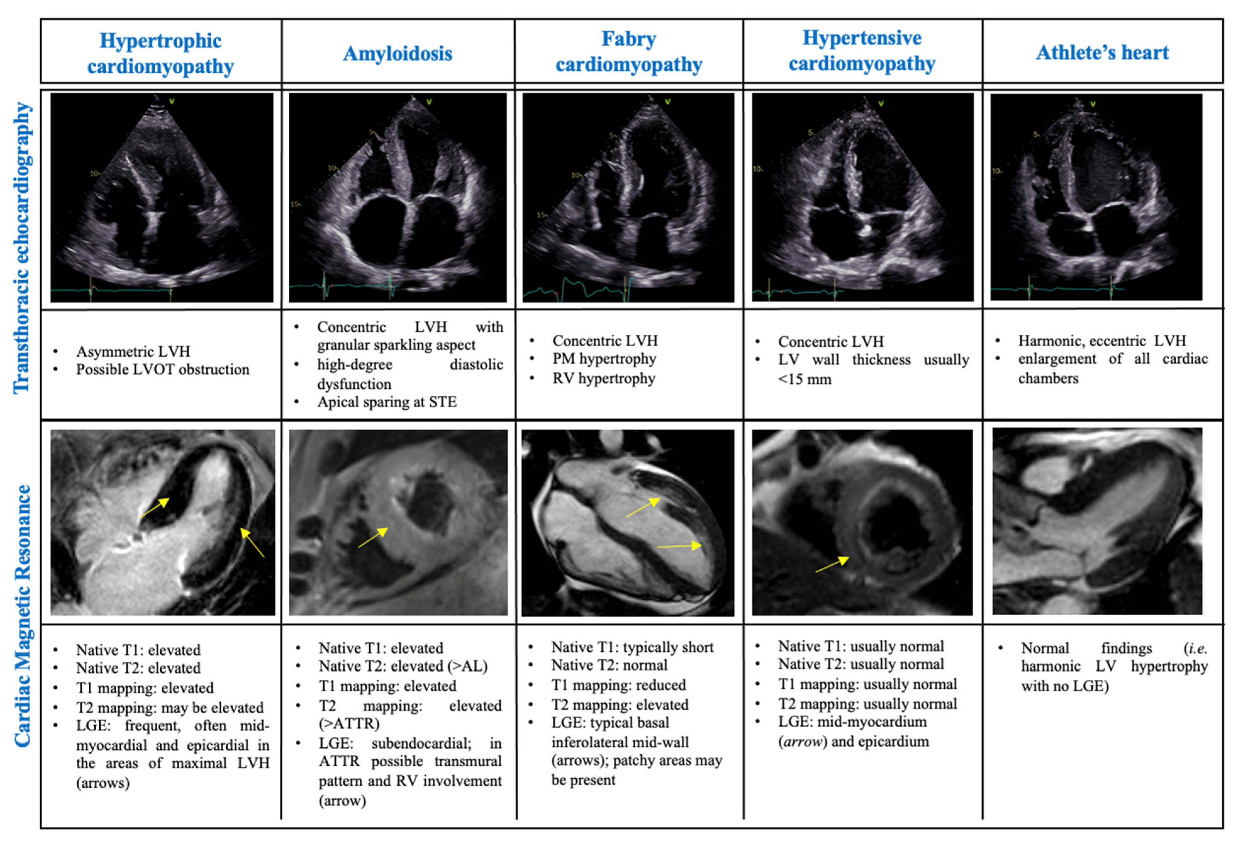 Life 13 00171 g002 Life 13 00171 g002