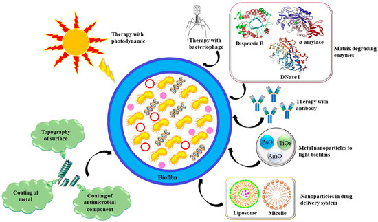 topical acetyl l-carnitine fights biofilm Therapeutic Strategies against Infections Bestsellerlabels
