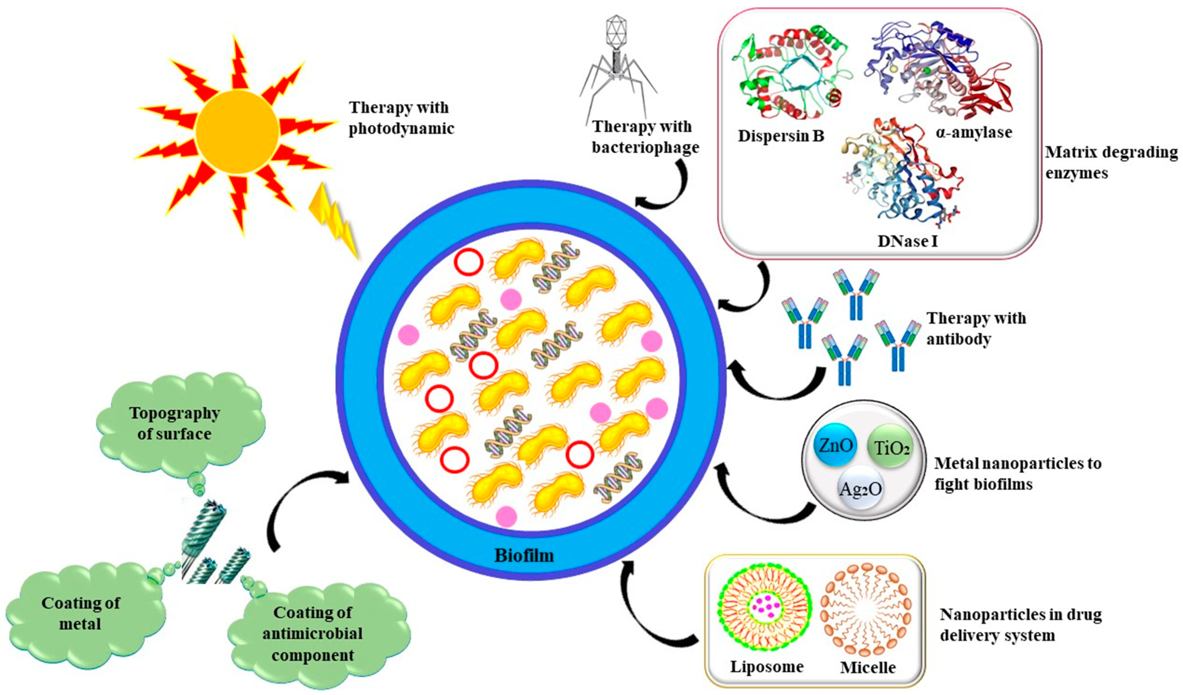 Life 13 00172 g003 Life 13 00172 g003