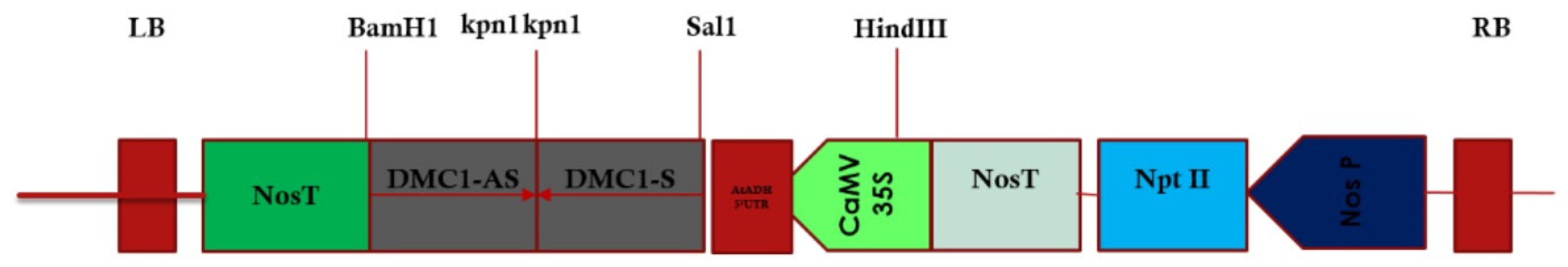 Life 13 00174 g004 Life 13 00174 g004