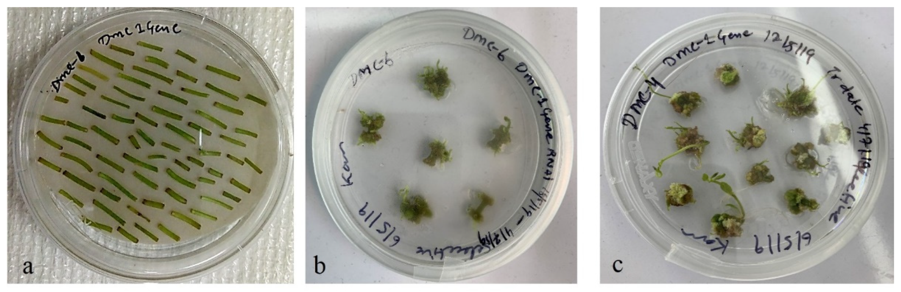 Life 13 00174 g005 Life 13 00174 g005