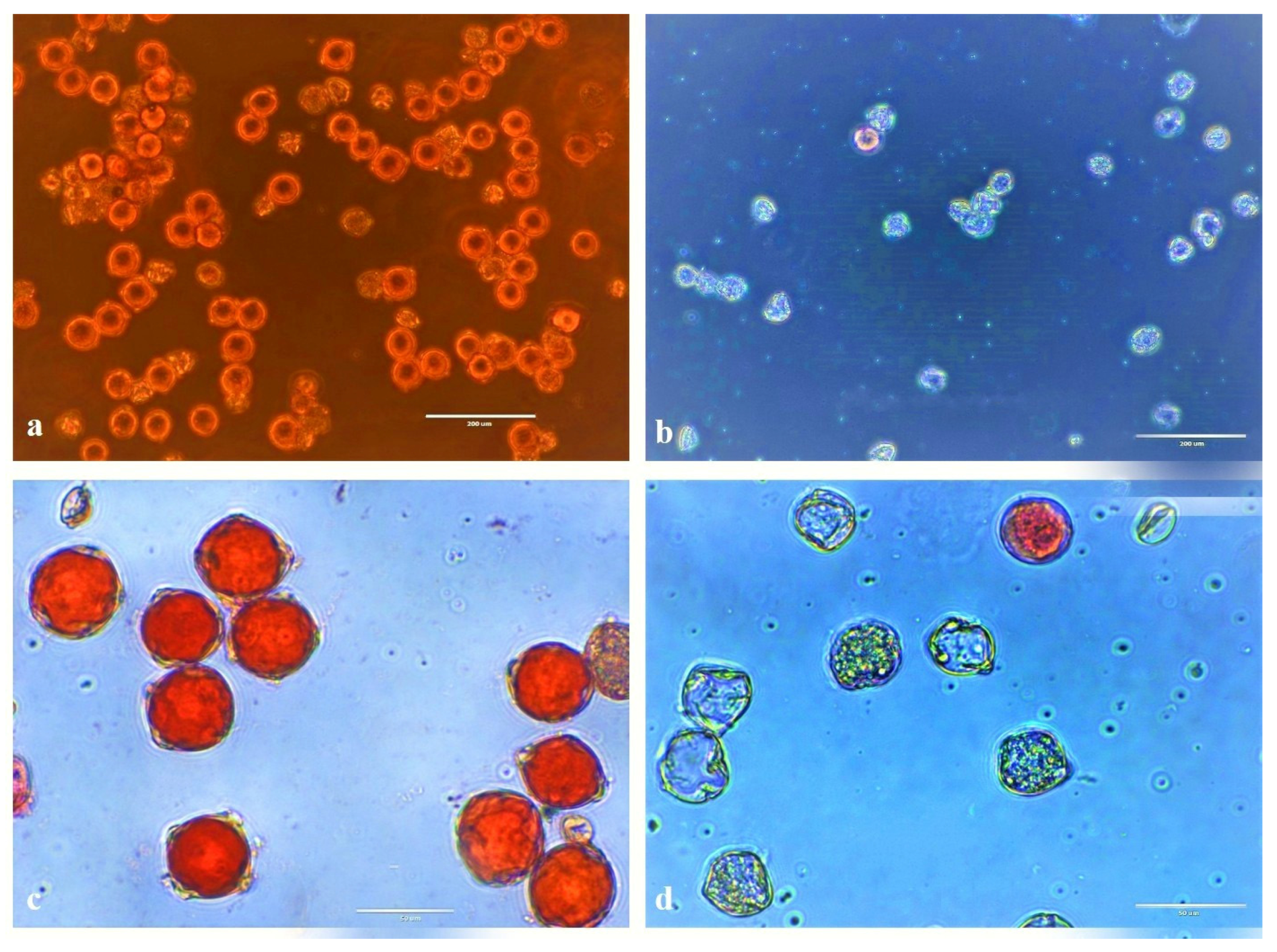 Life 13 00174 g007 Life 13 00174 g007