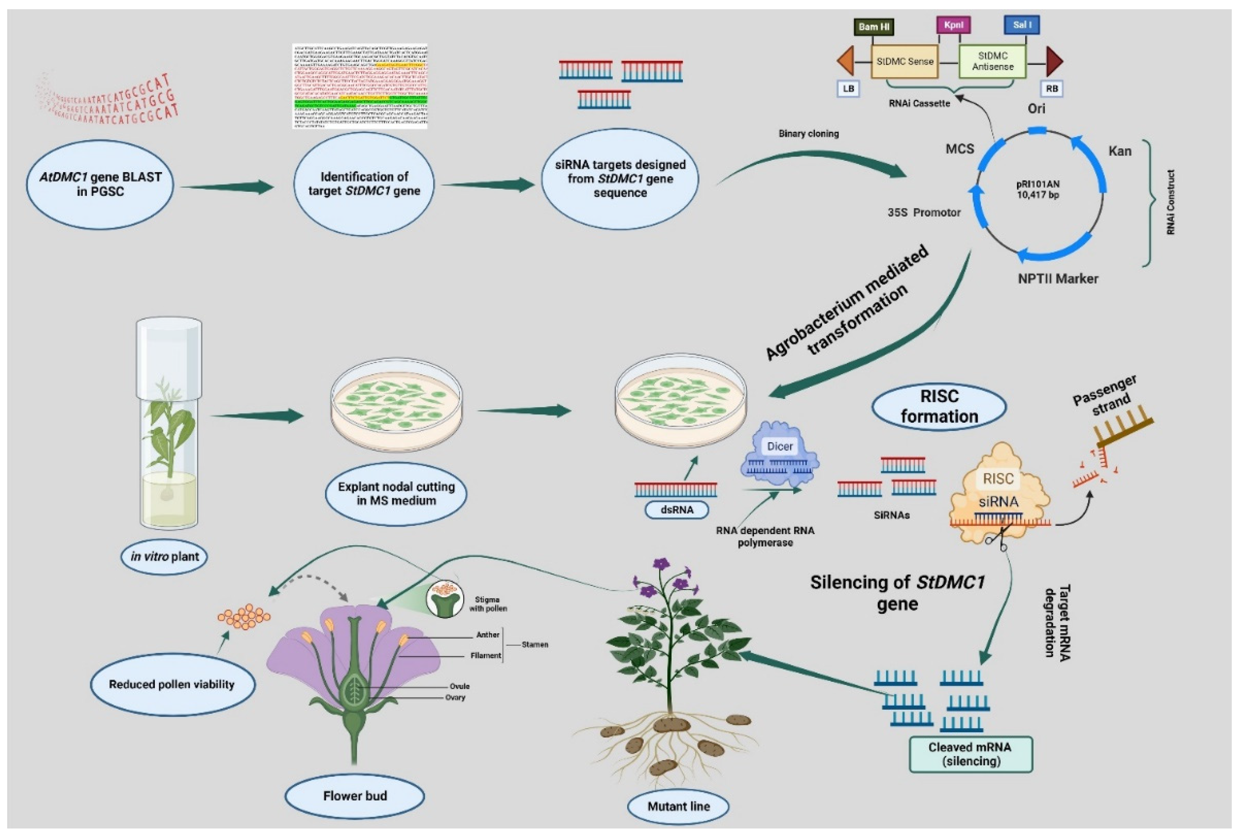 Life 13 00174 g009 Life 13 00174 g009