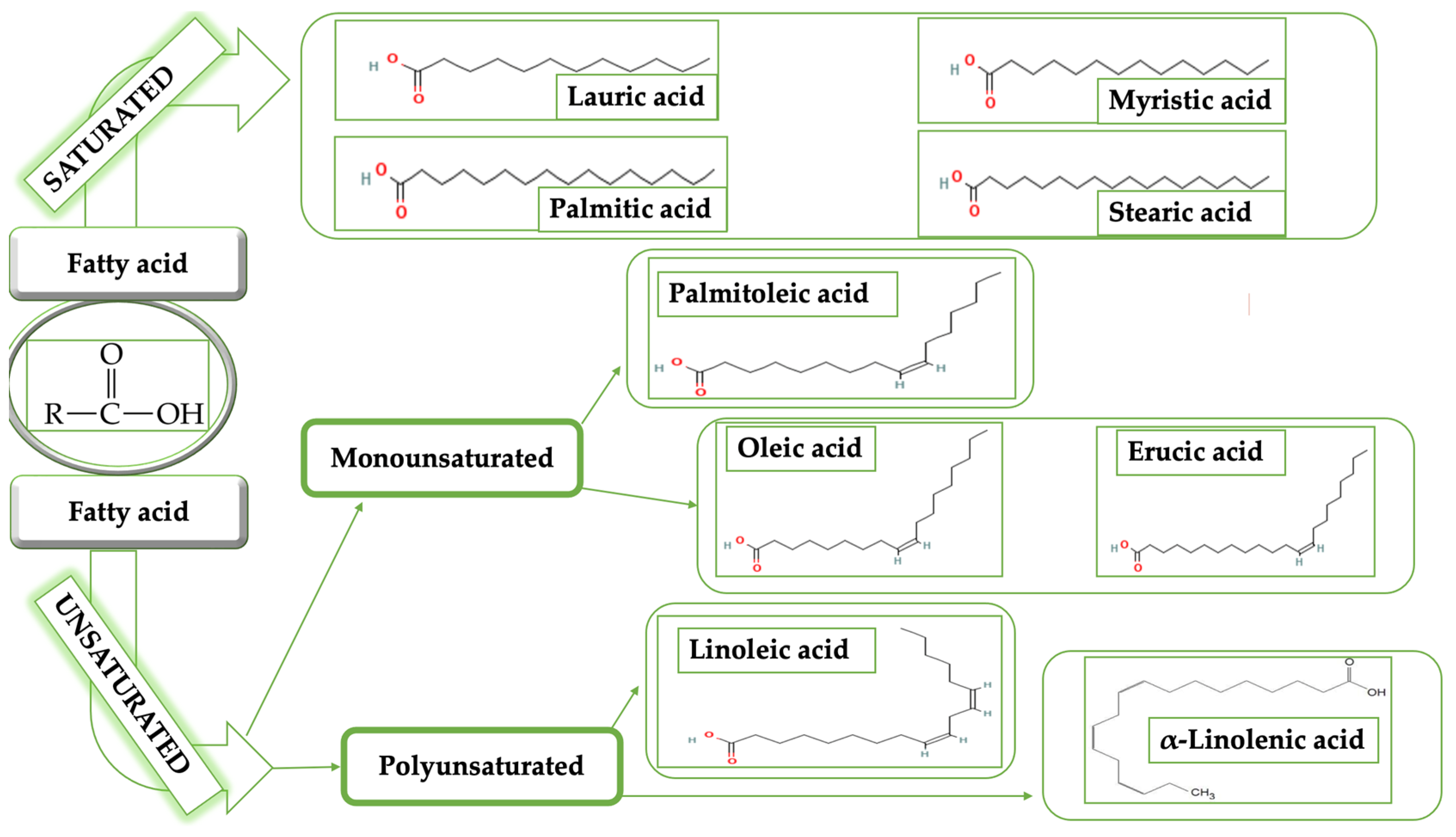 Life 13 00178 g001 Life 13 00178 g001