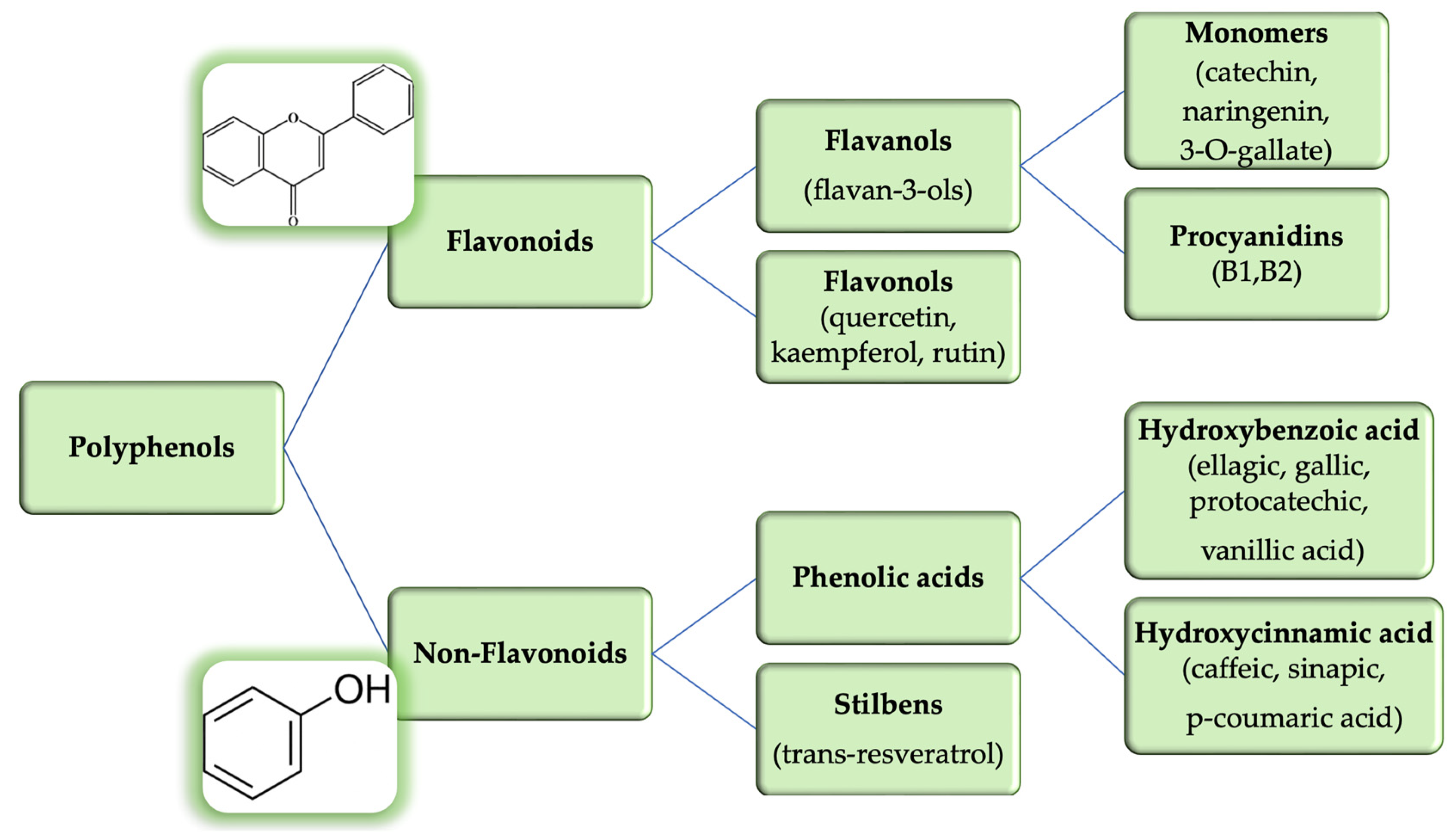 Life 13 00178 g008 Life 13 00178 g008