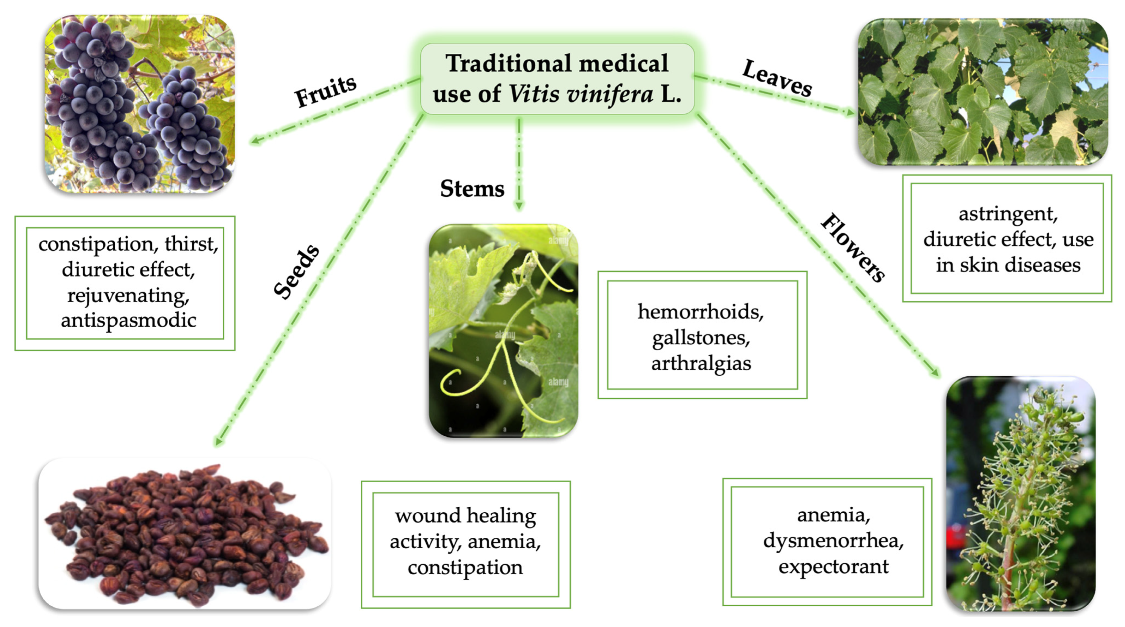 Life 13 00178 g009 Life 13 00178 g009