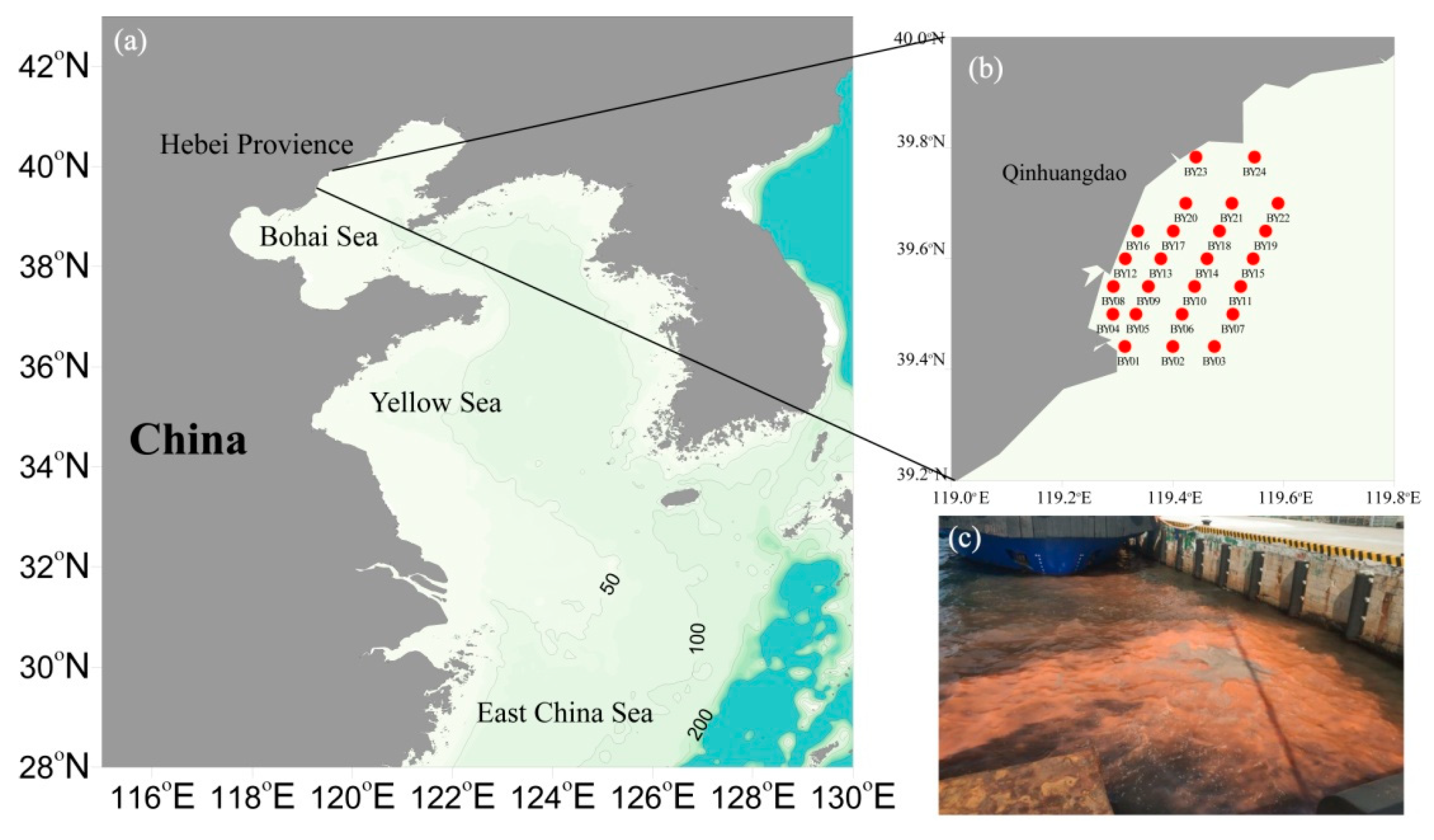 Life | Free Full-Text | Biodiversity and Interannual Variation of 