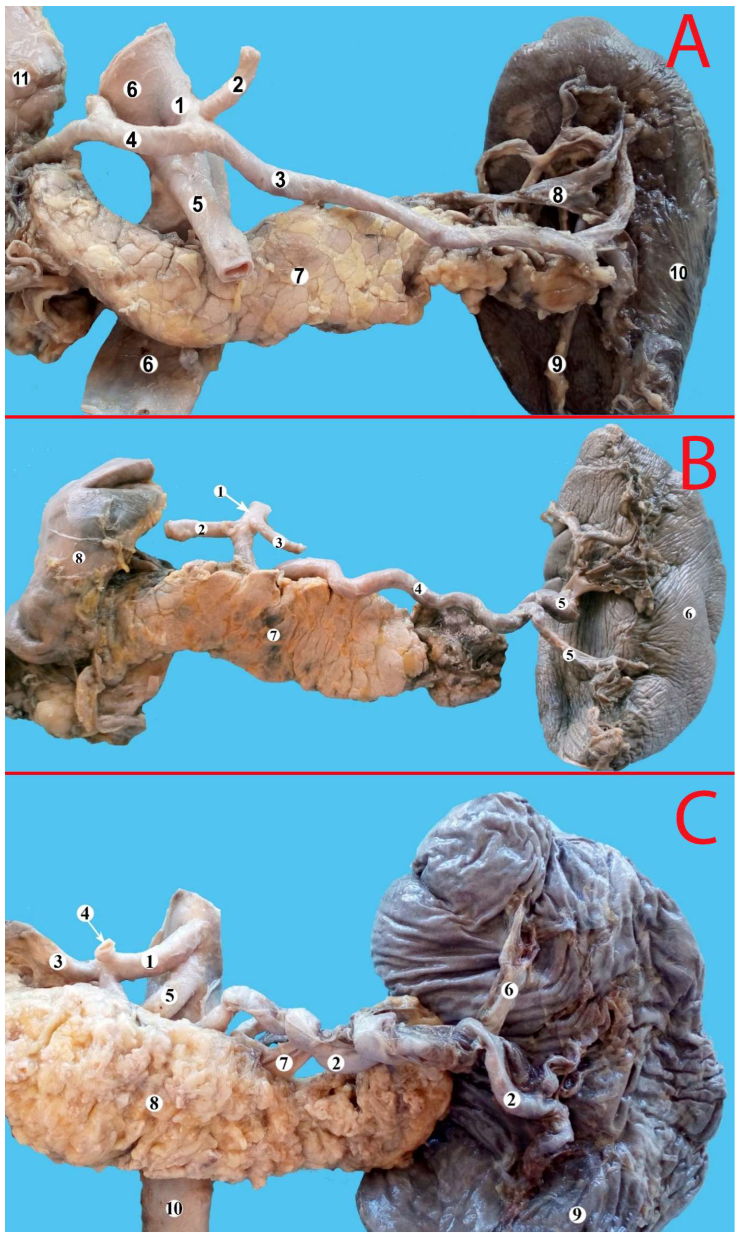 Life 13 00195 g003 Life 13 00195 g003