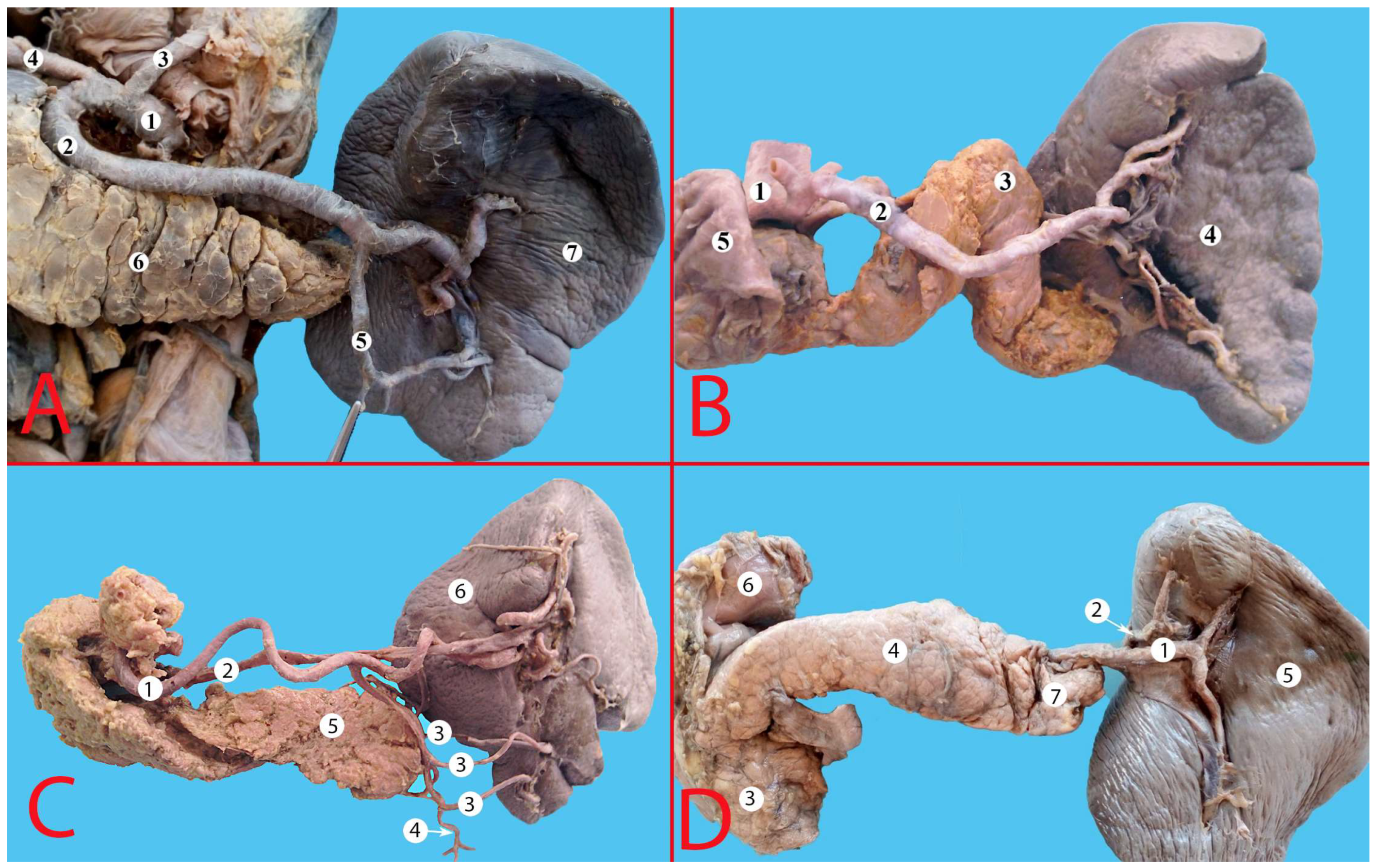 Life 13 00195 g006 Life 13 00195 g006