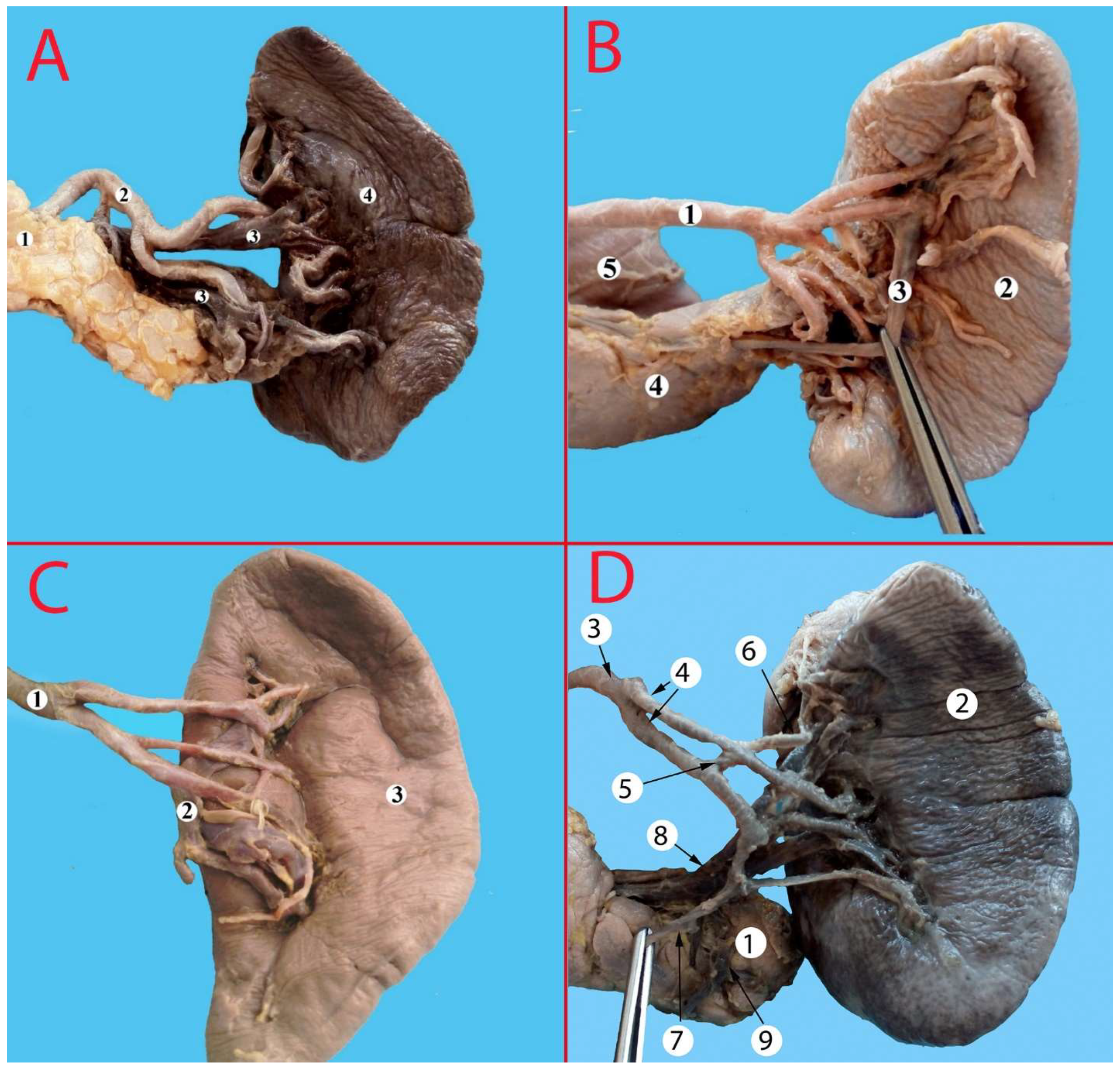 Life 13 00195 g008 Life 13 00195 g008