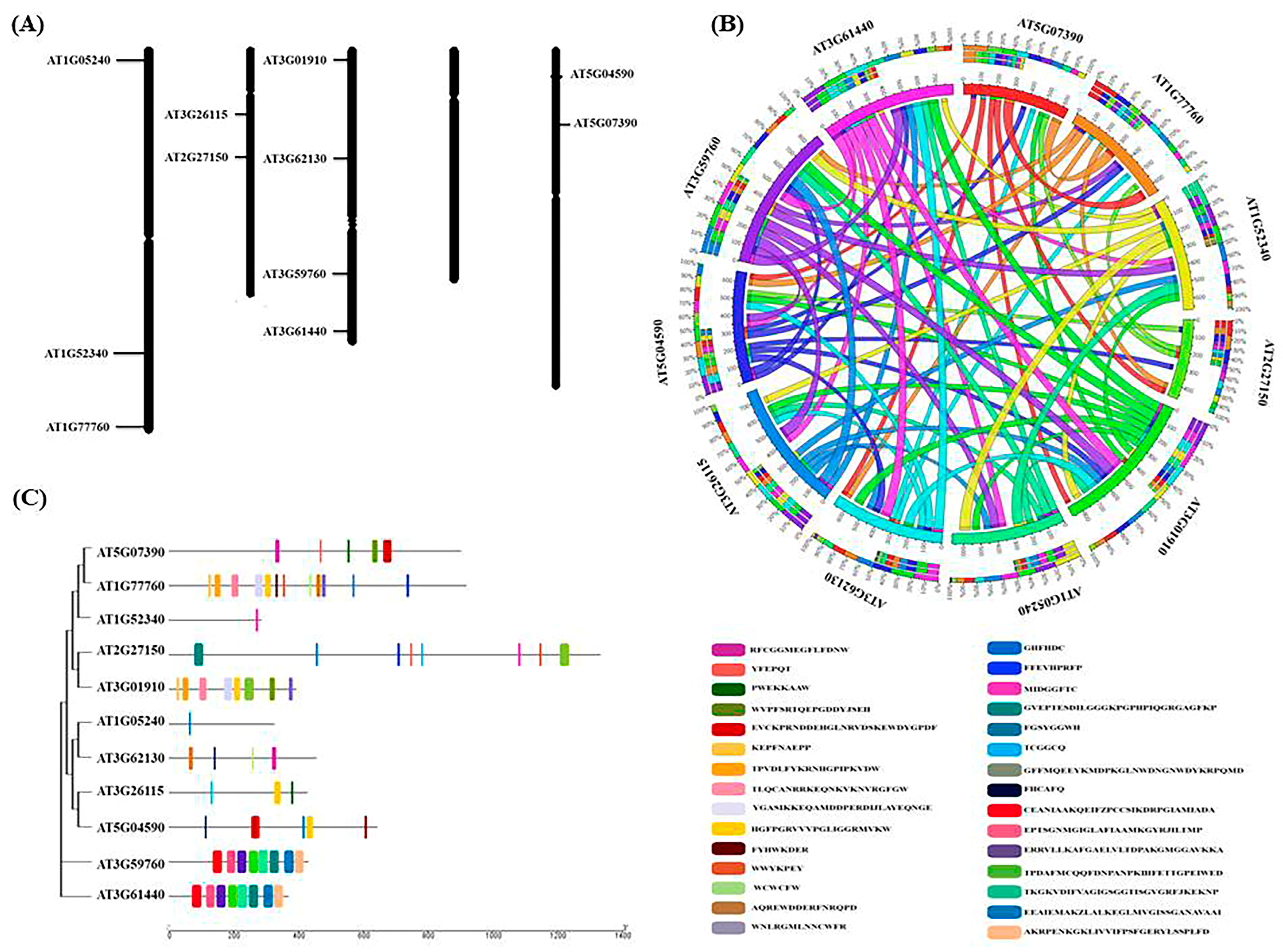 Life 13 00204 g001 Life 13 00204 g001