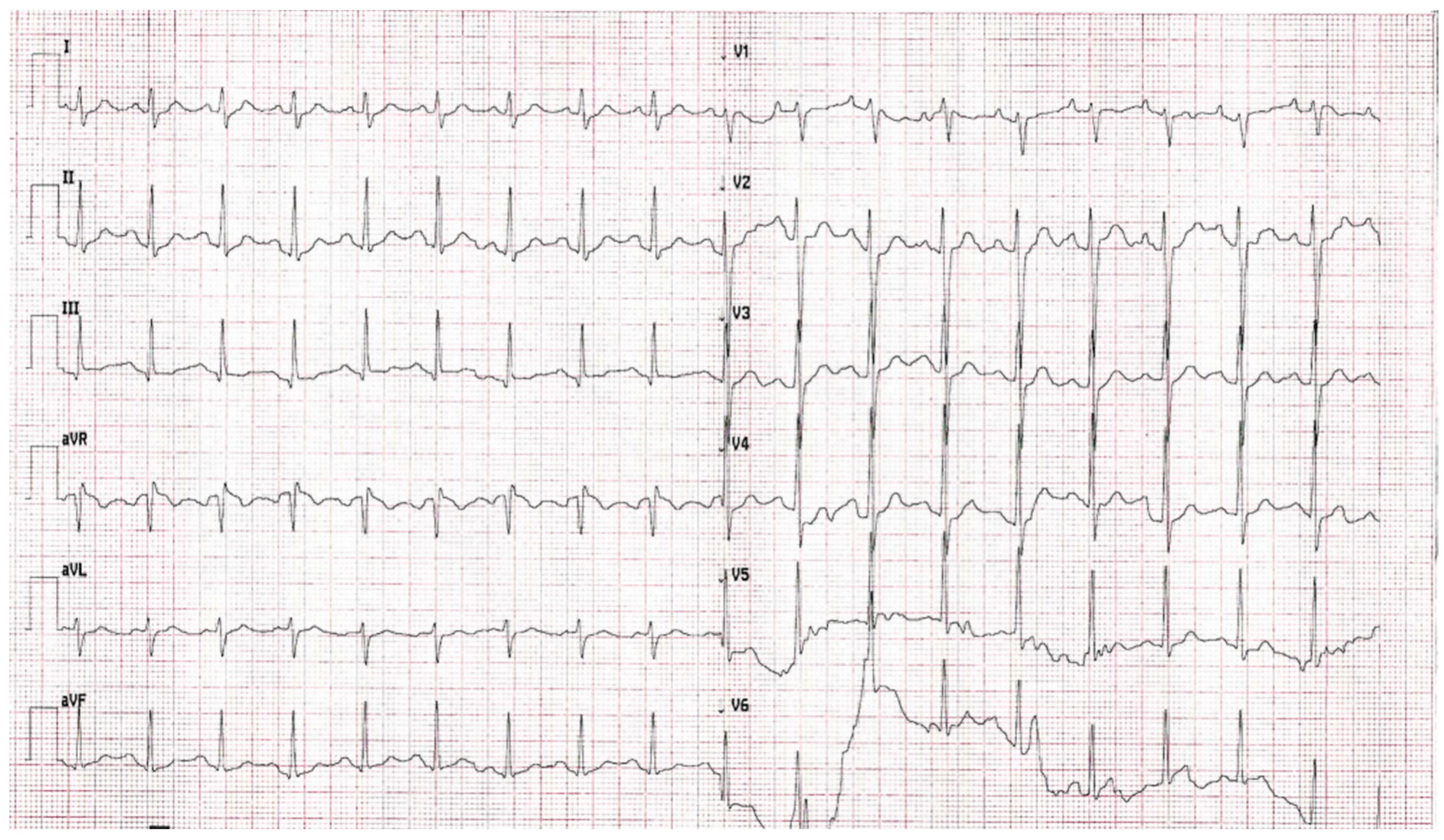 Life 13 00205 g002 Life 13 00205 g002