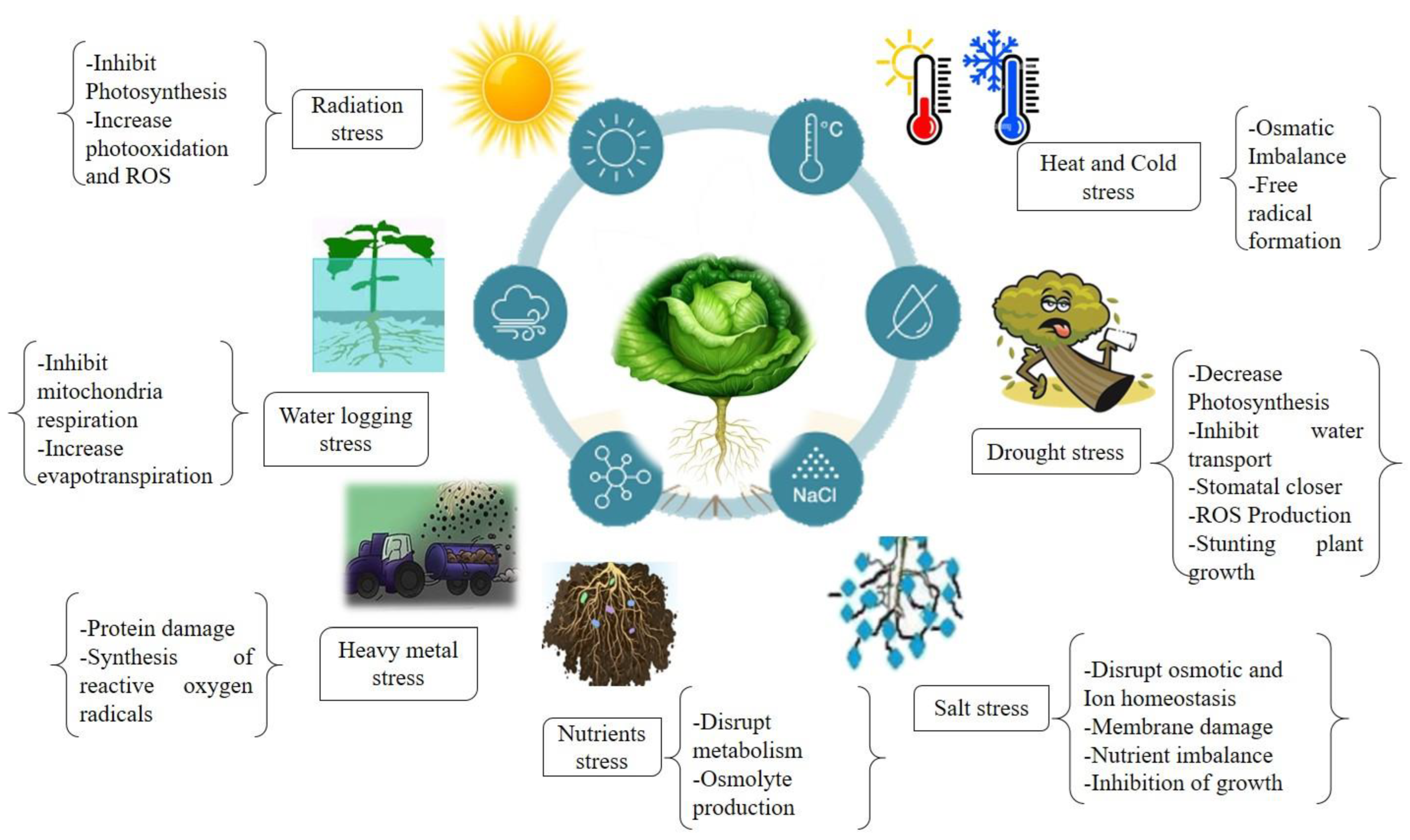 Life 13 00211 g001 Life 13 00211 g001
