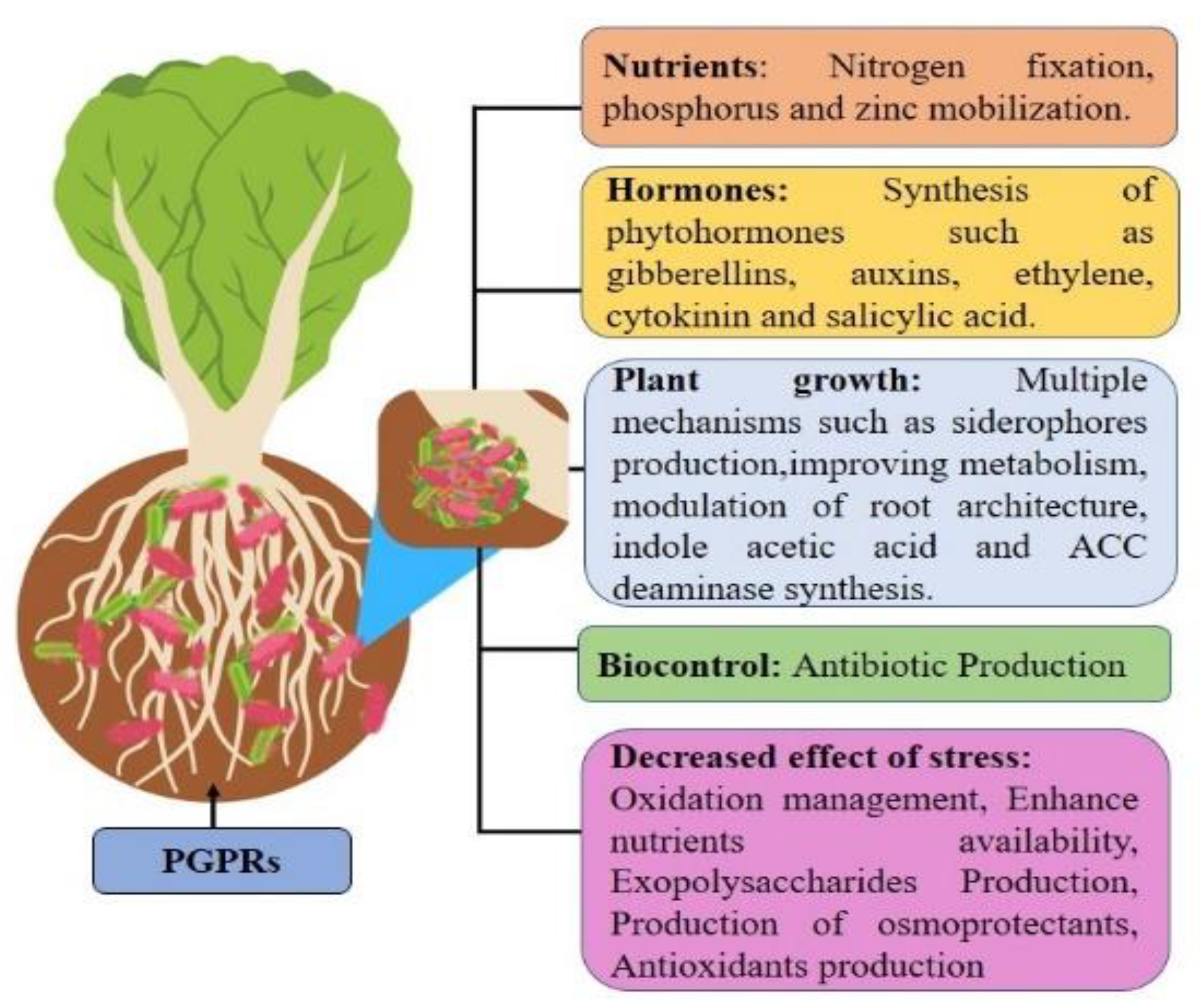 Life 13 00211 g002 Life 13 00211 g002