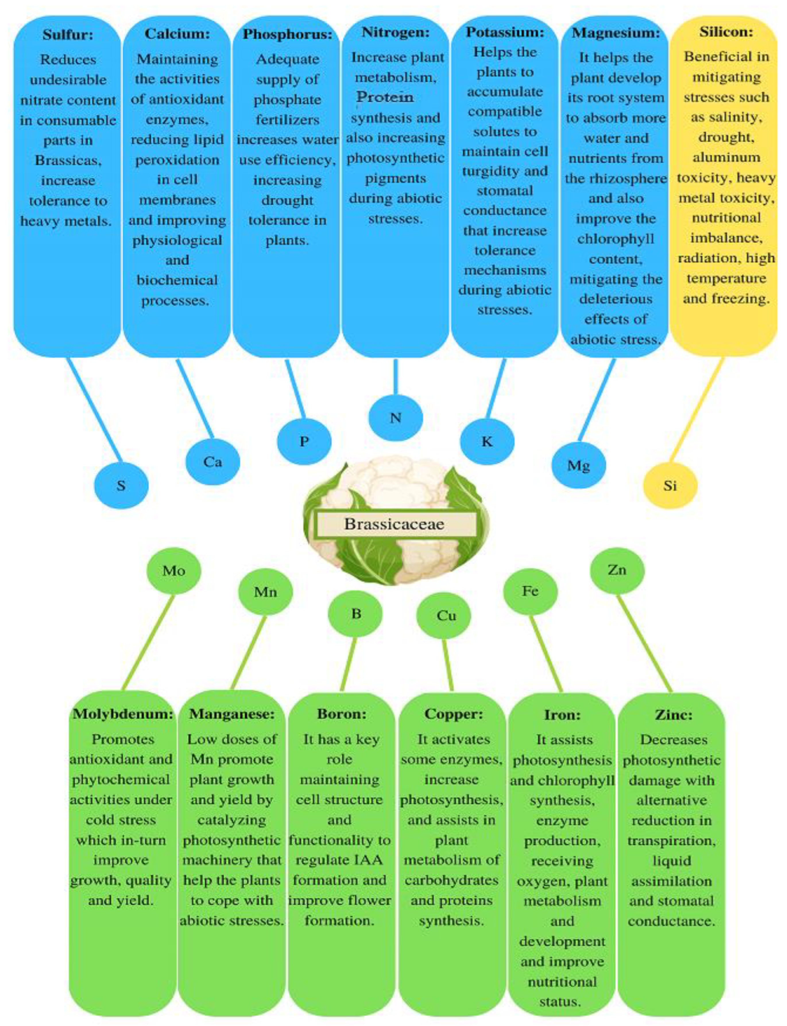 Life 13 00211 g003 Life 13 00211 g003