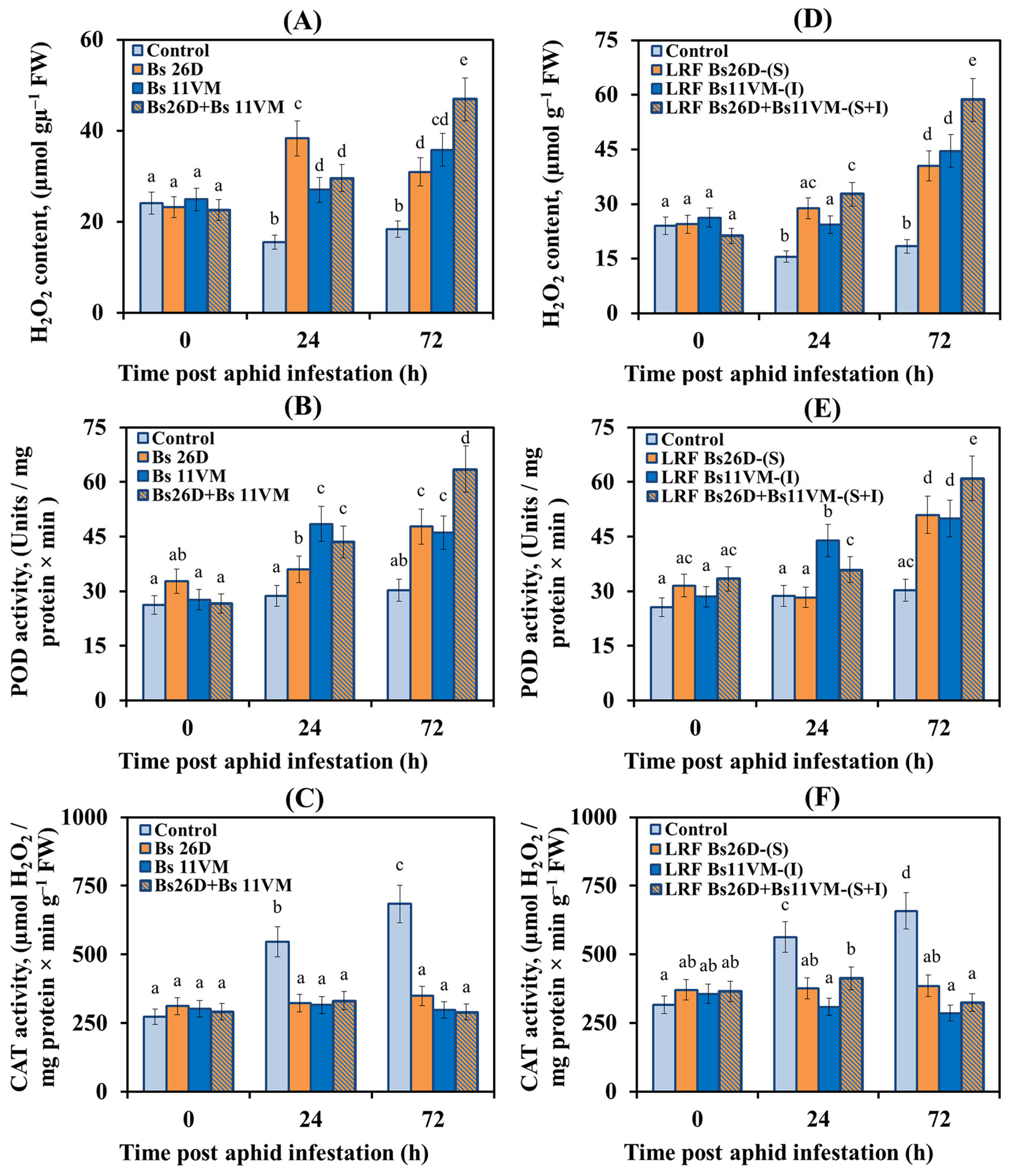 Life 13 00214 g003 Life 13 00214 g003