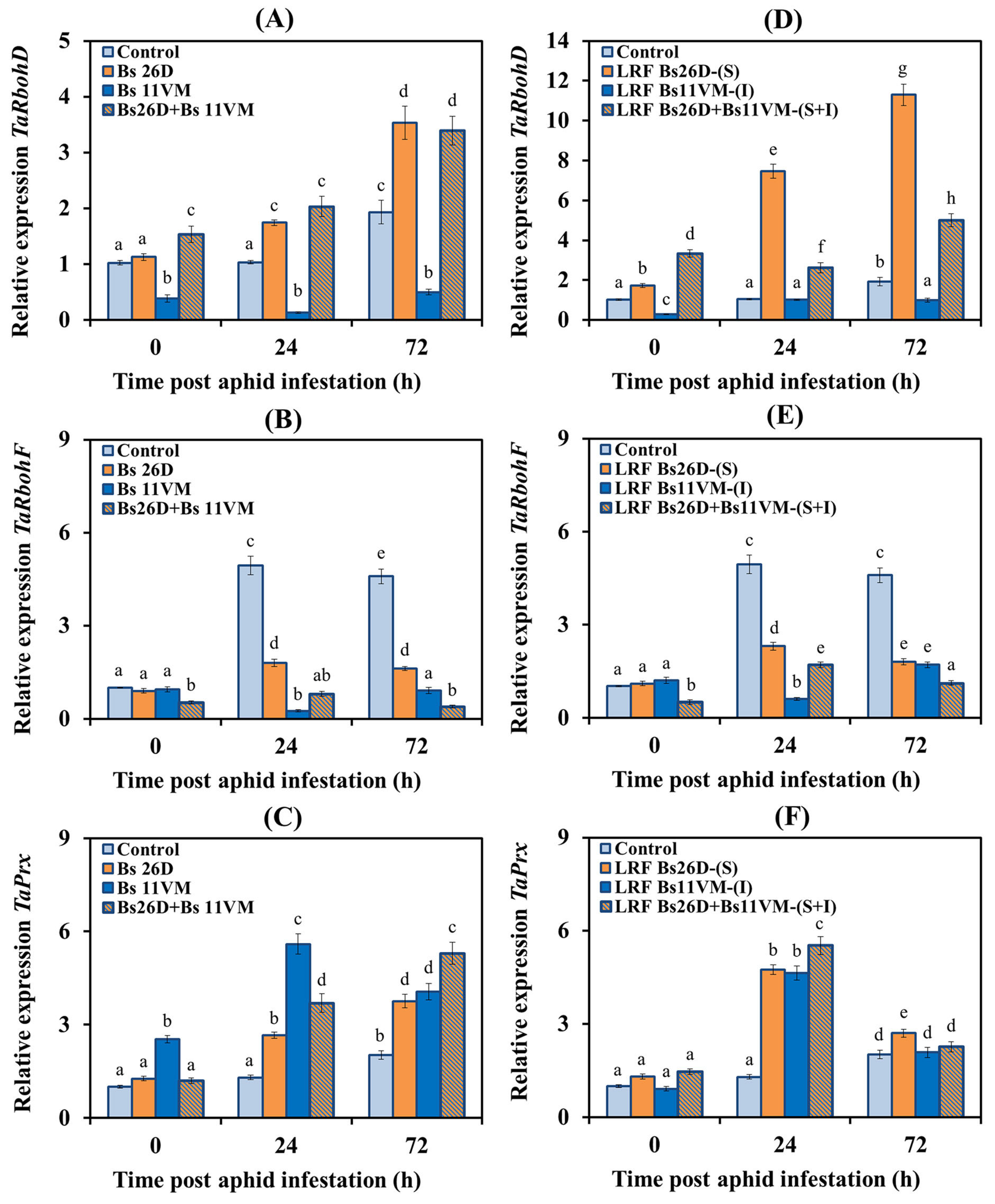 Life 13 00214 g004 Life 13 00214 g004