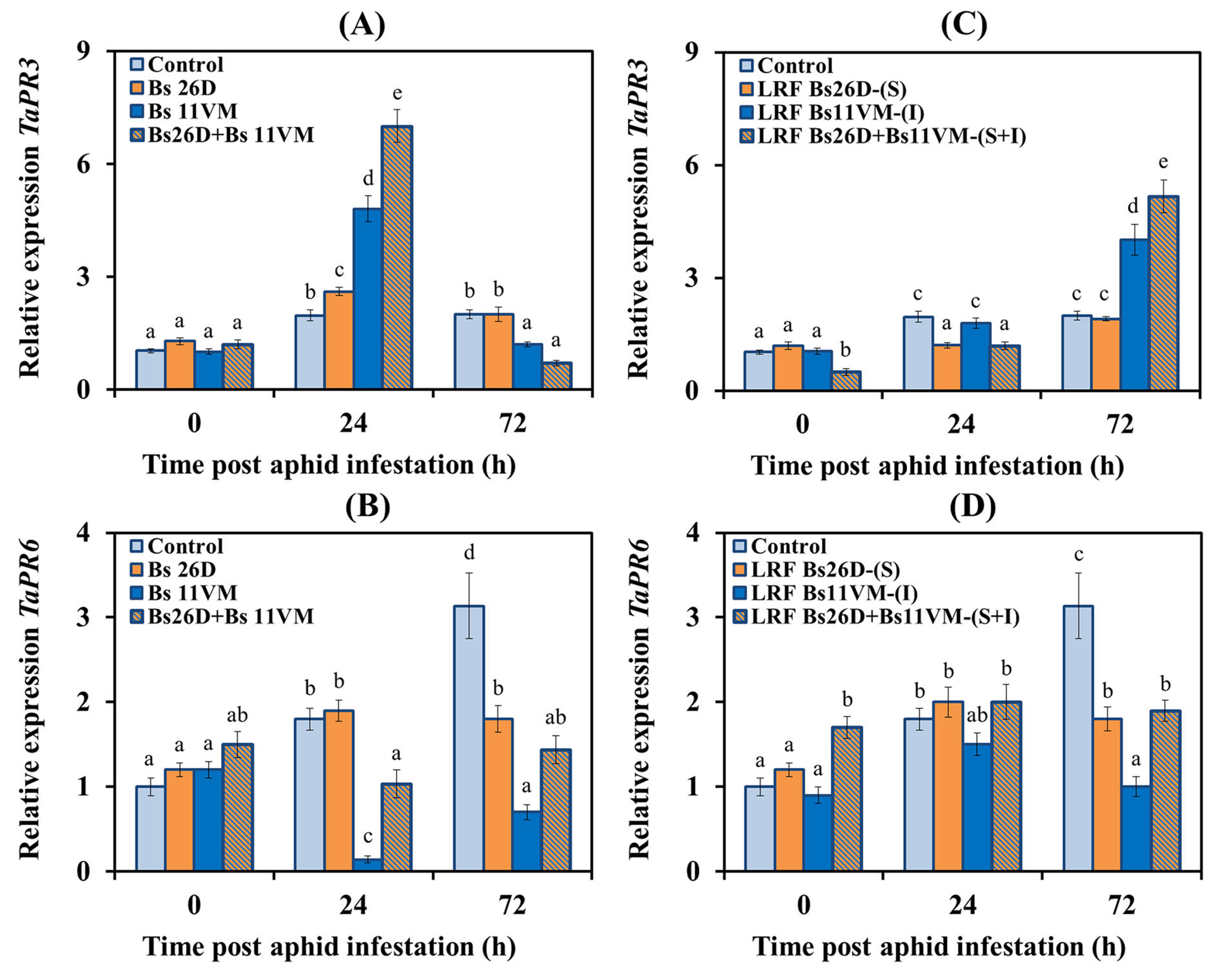 Life 13 00214 g006 Life 13 00214 g006