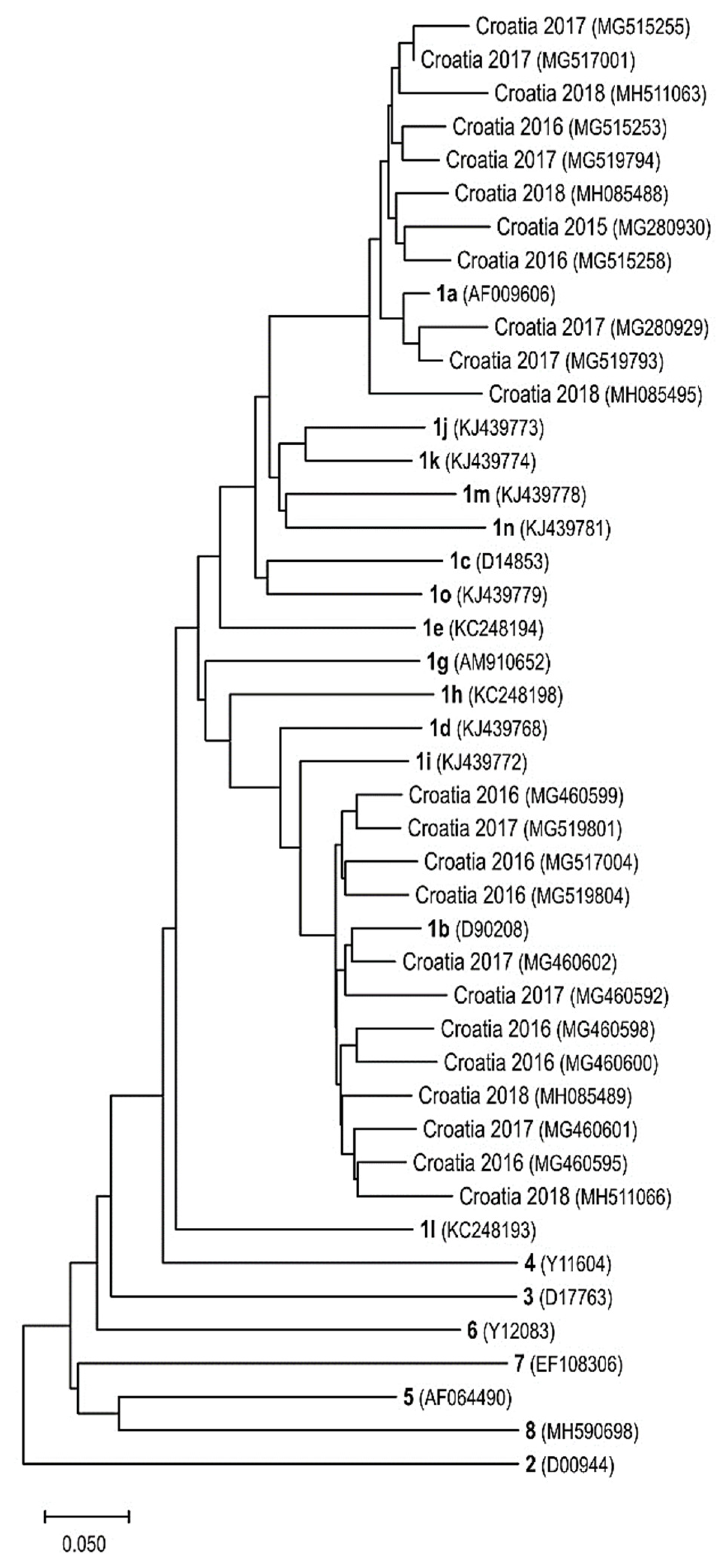 Life 13 00224 g002 Life 13 00224 g002
