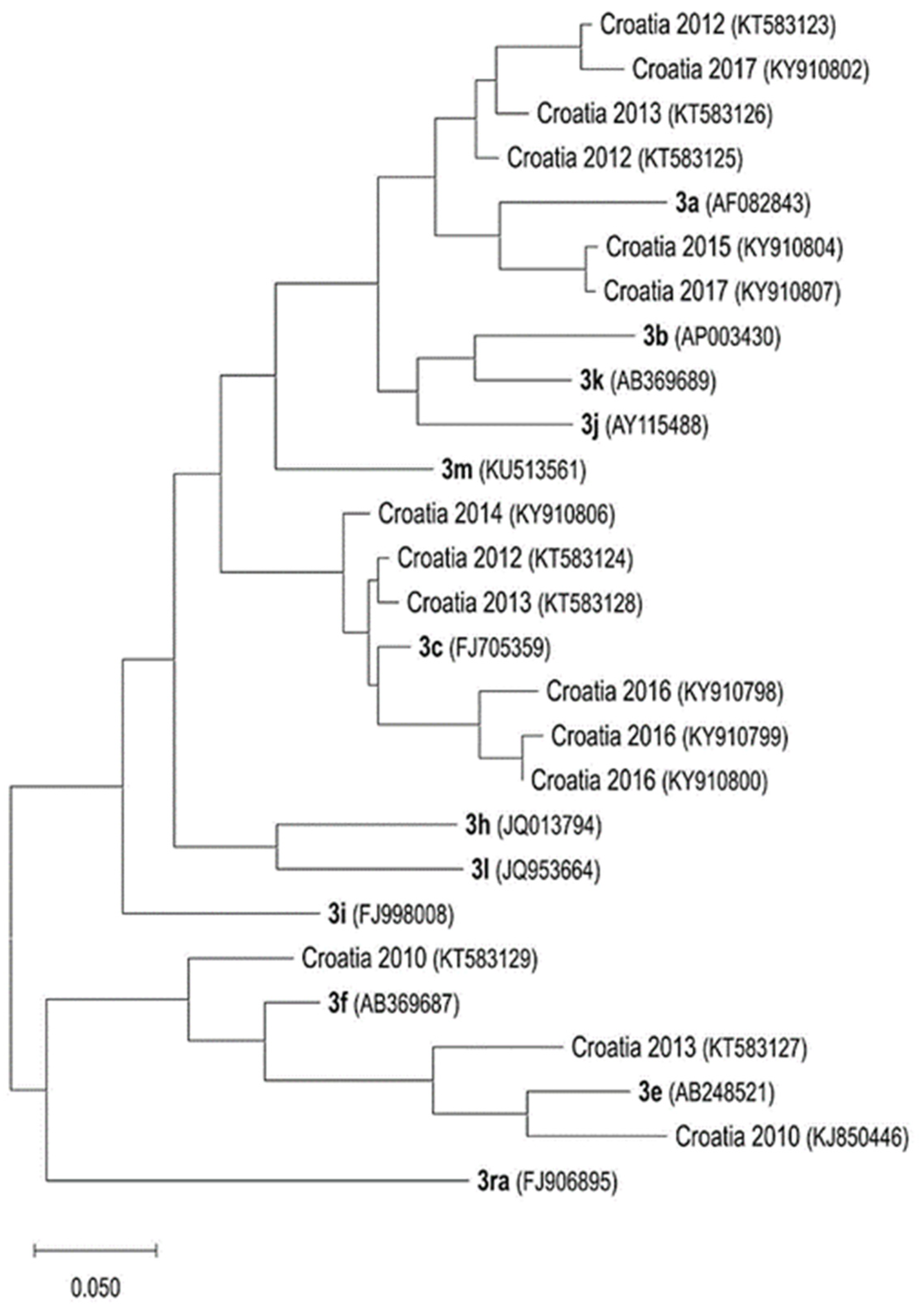 Life 13 00224 g003 Life 13 00224 g003
