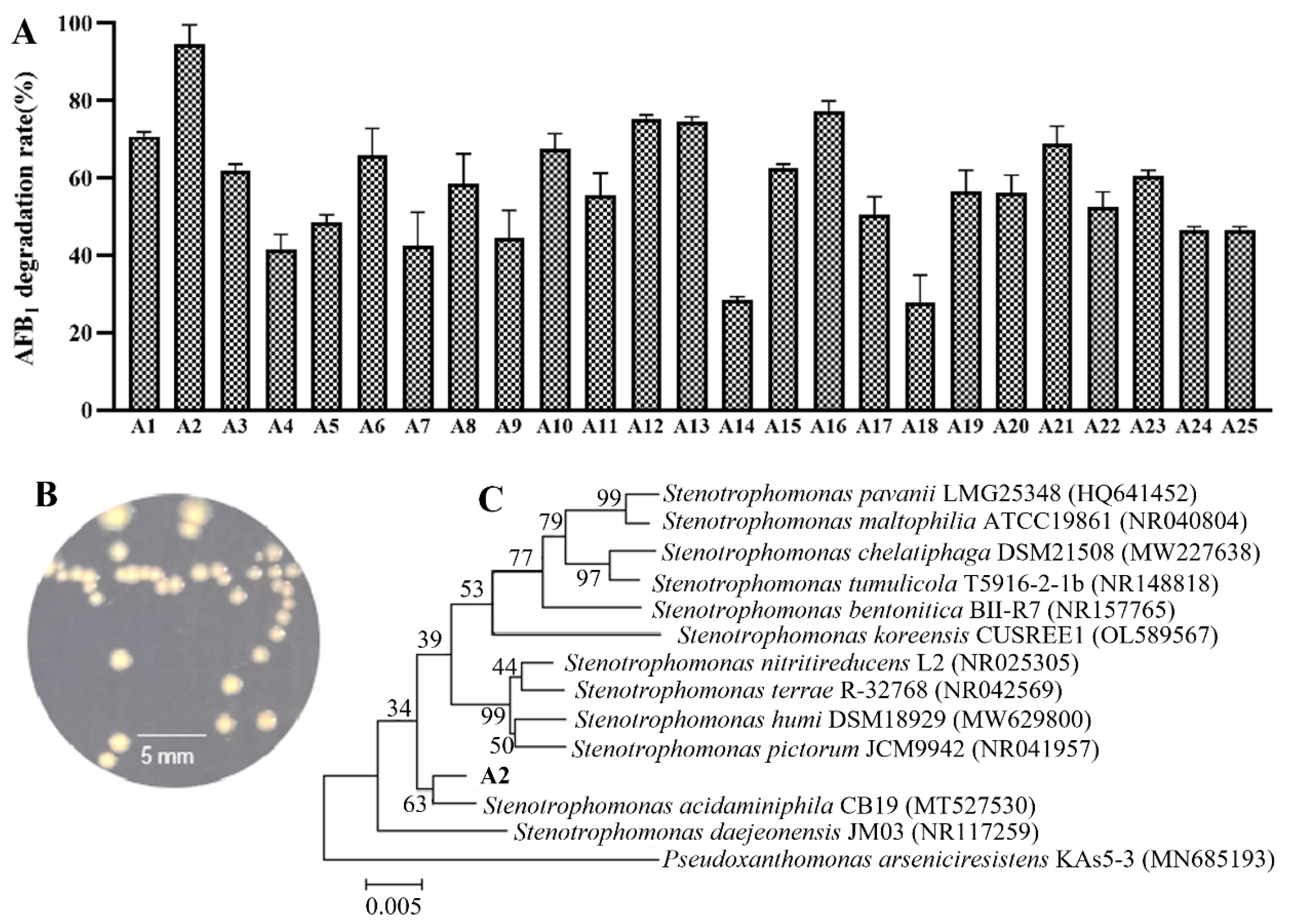 Life 13 00234 g001 Life 13 00234 g001