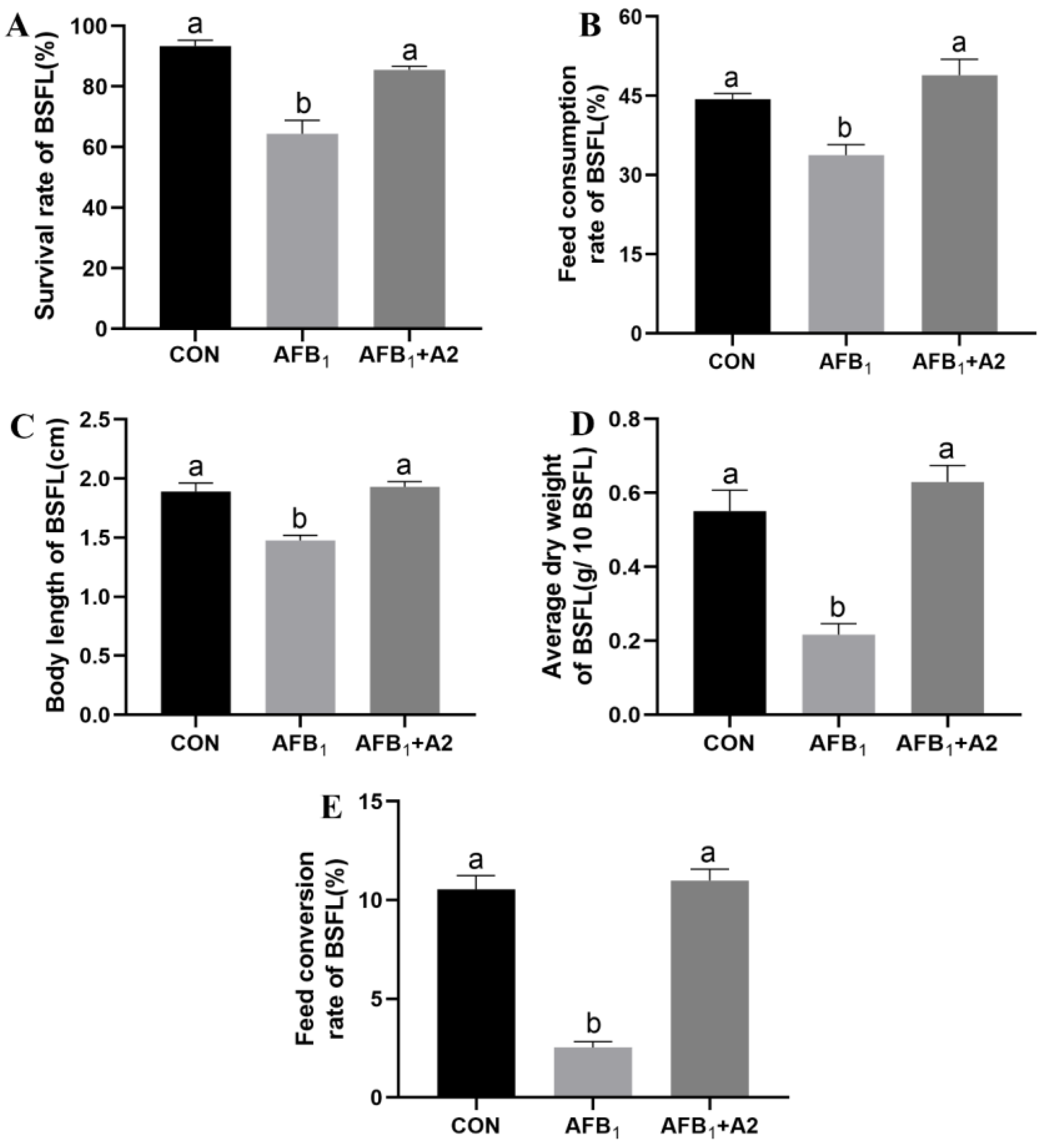 Life 13 00234 g003 Life 13 00234 g003