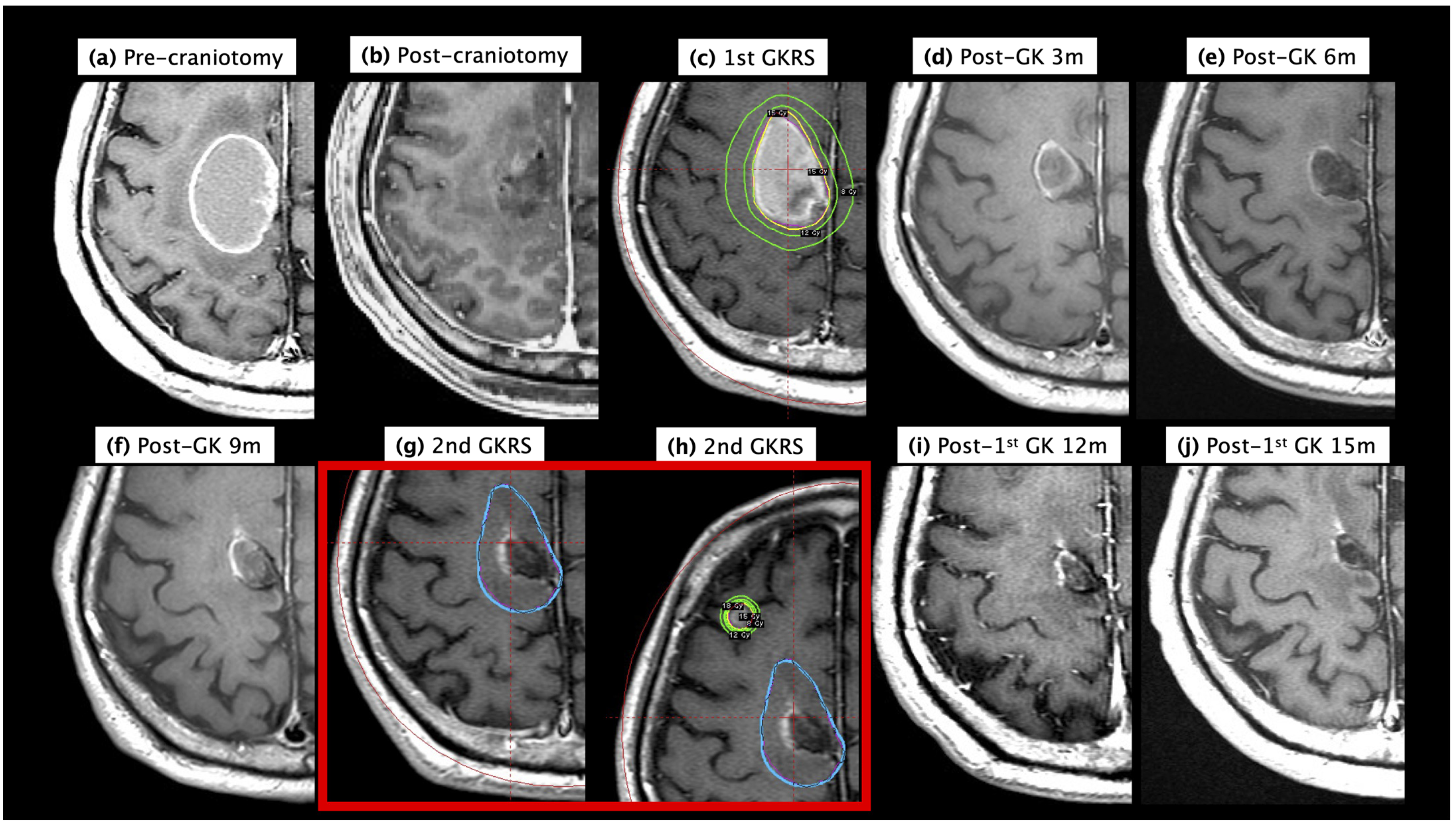 Life 13 00236 g002 Life 13 00236 g002