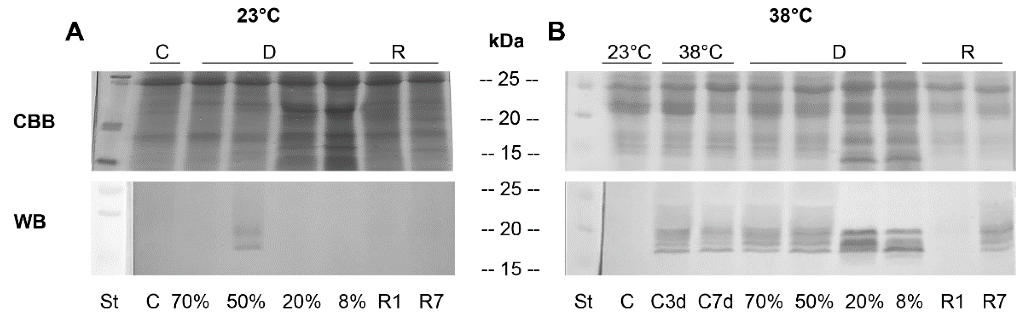 Life 13 00238 g004 Life 13 00238 g004