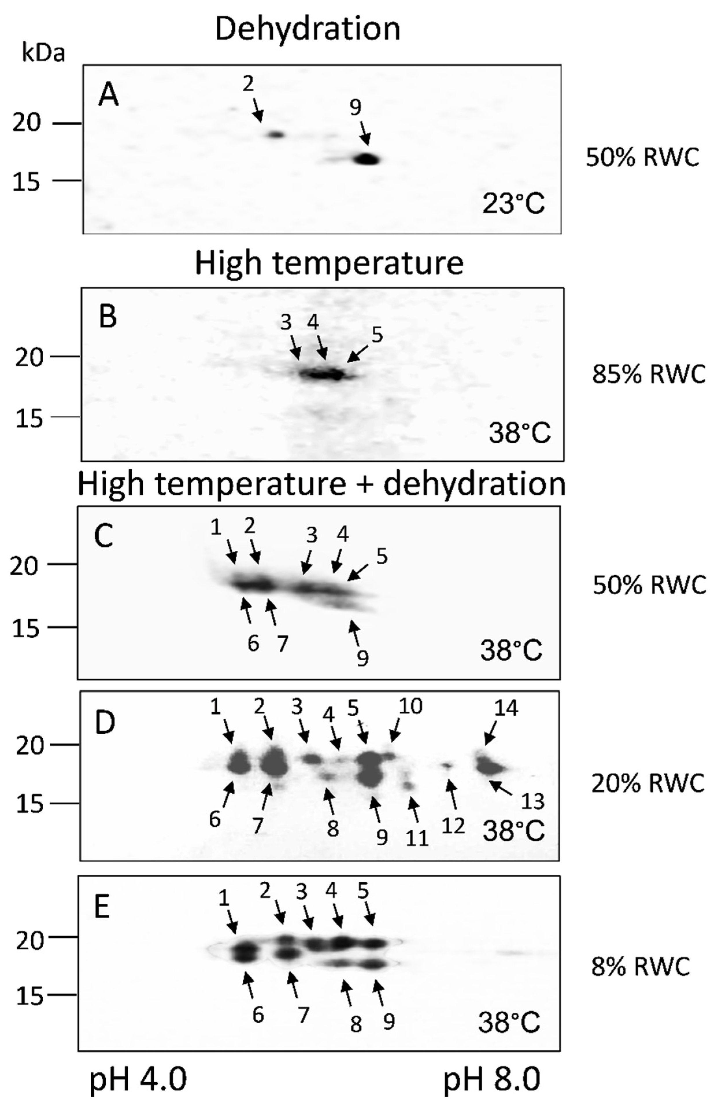Life 13 00238 g005 Life 13 00238 g005