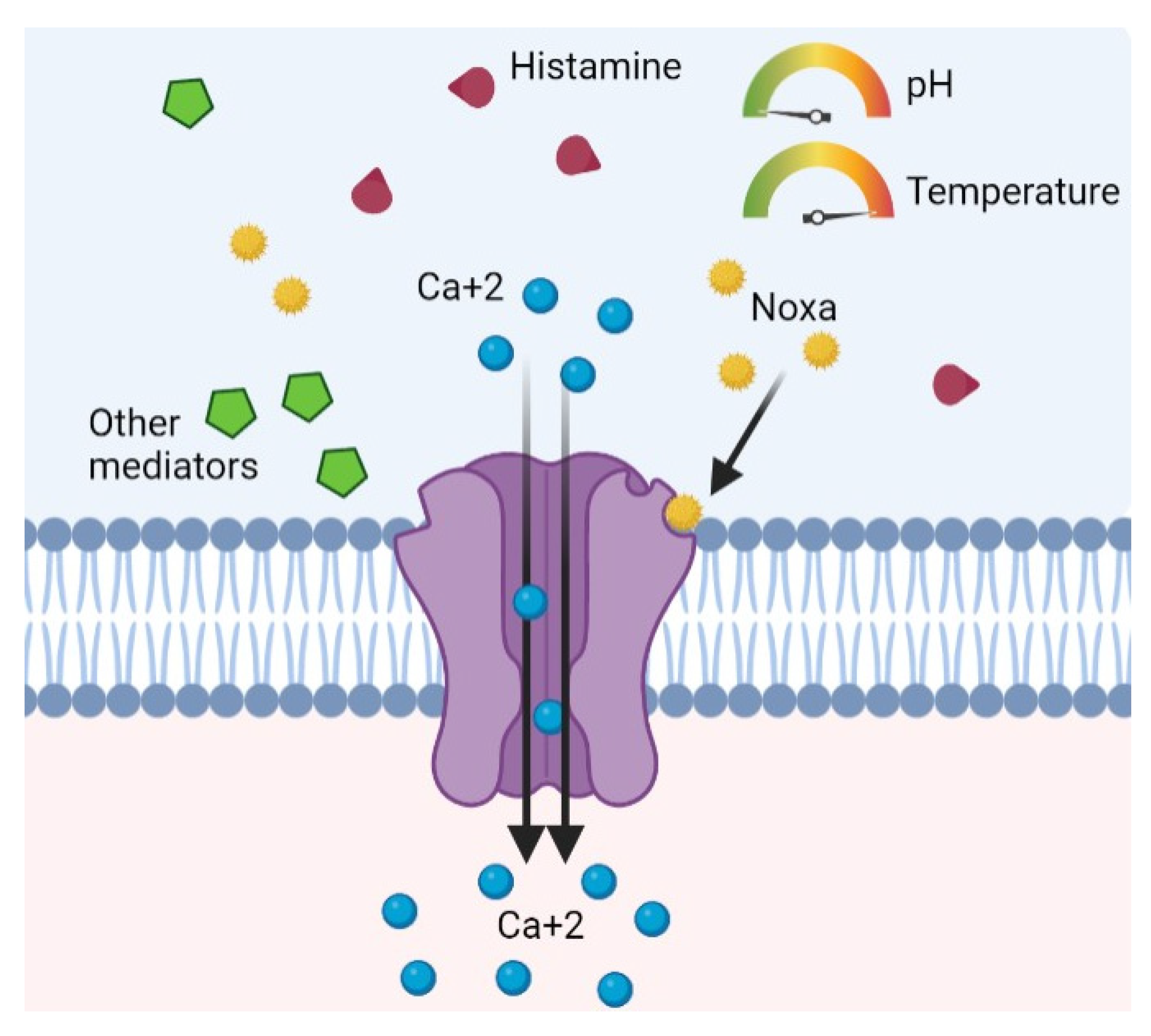 Life 13 00240 g001 Life 13 00240 g001