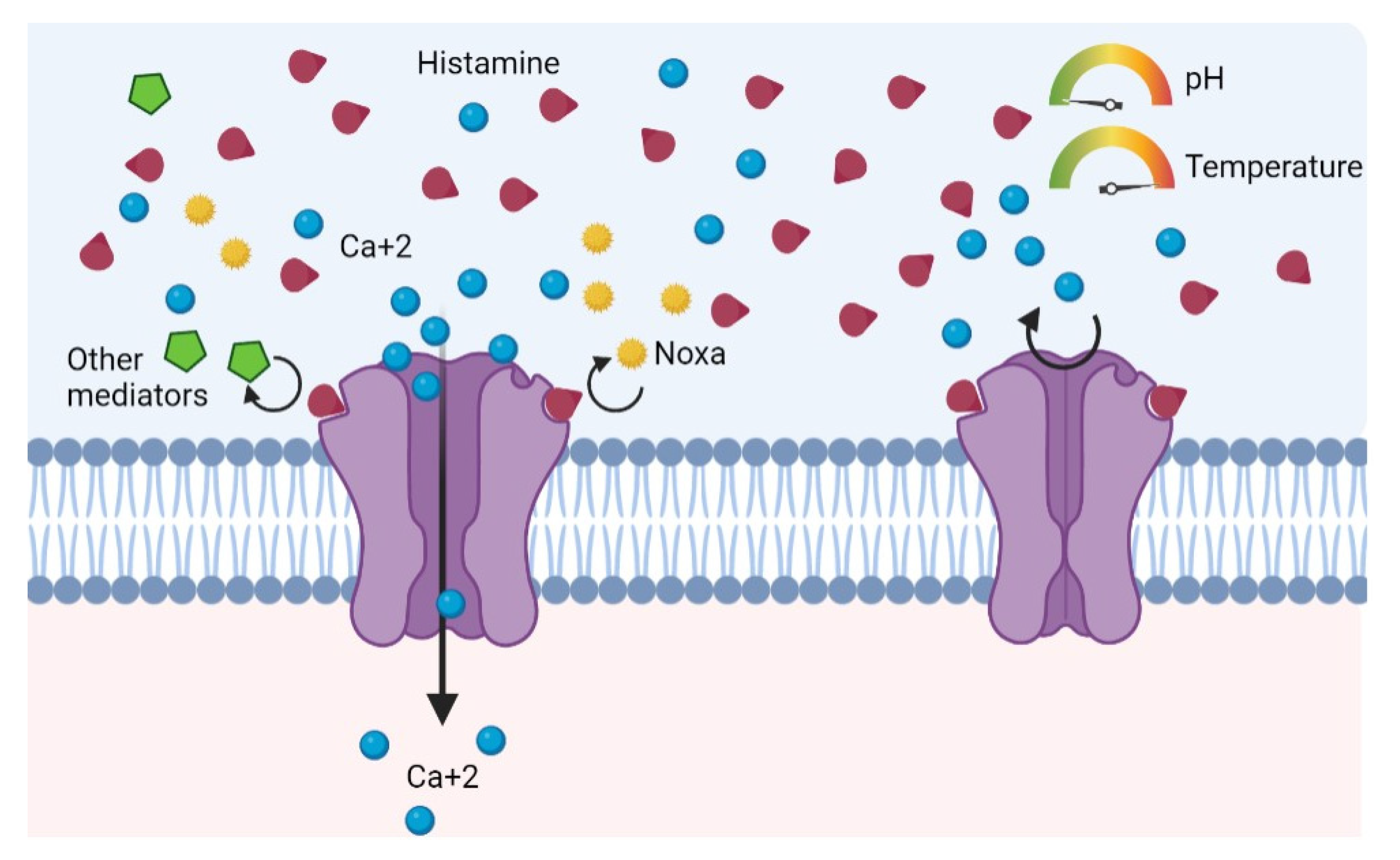 Life 13 00240 g003 Life 13 00240 g003