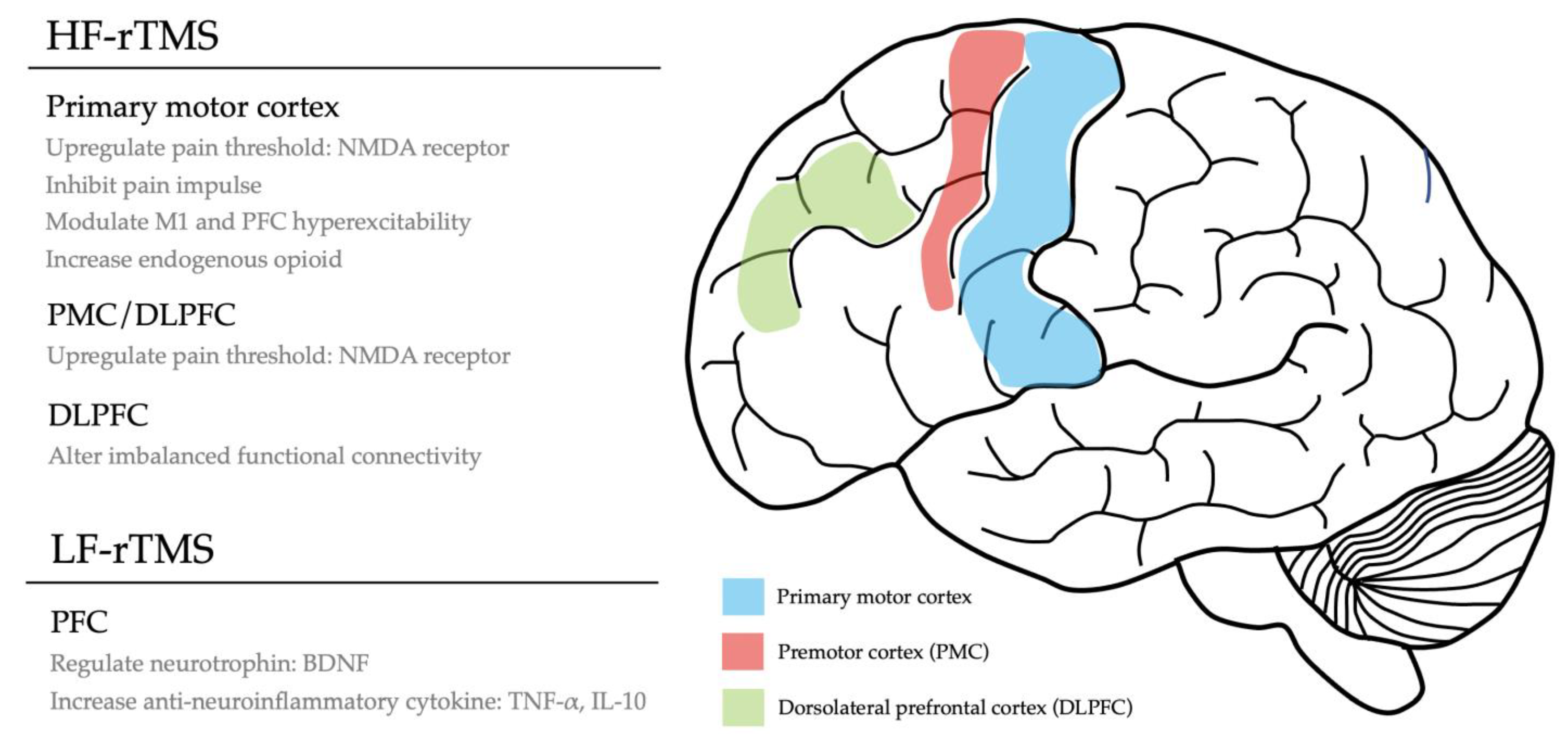 Life 13 00258 g002 Life 13 00258 g002
