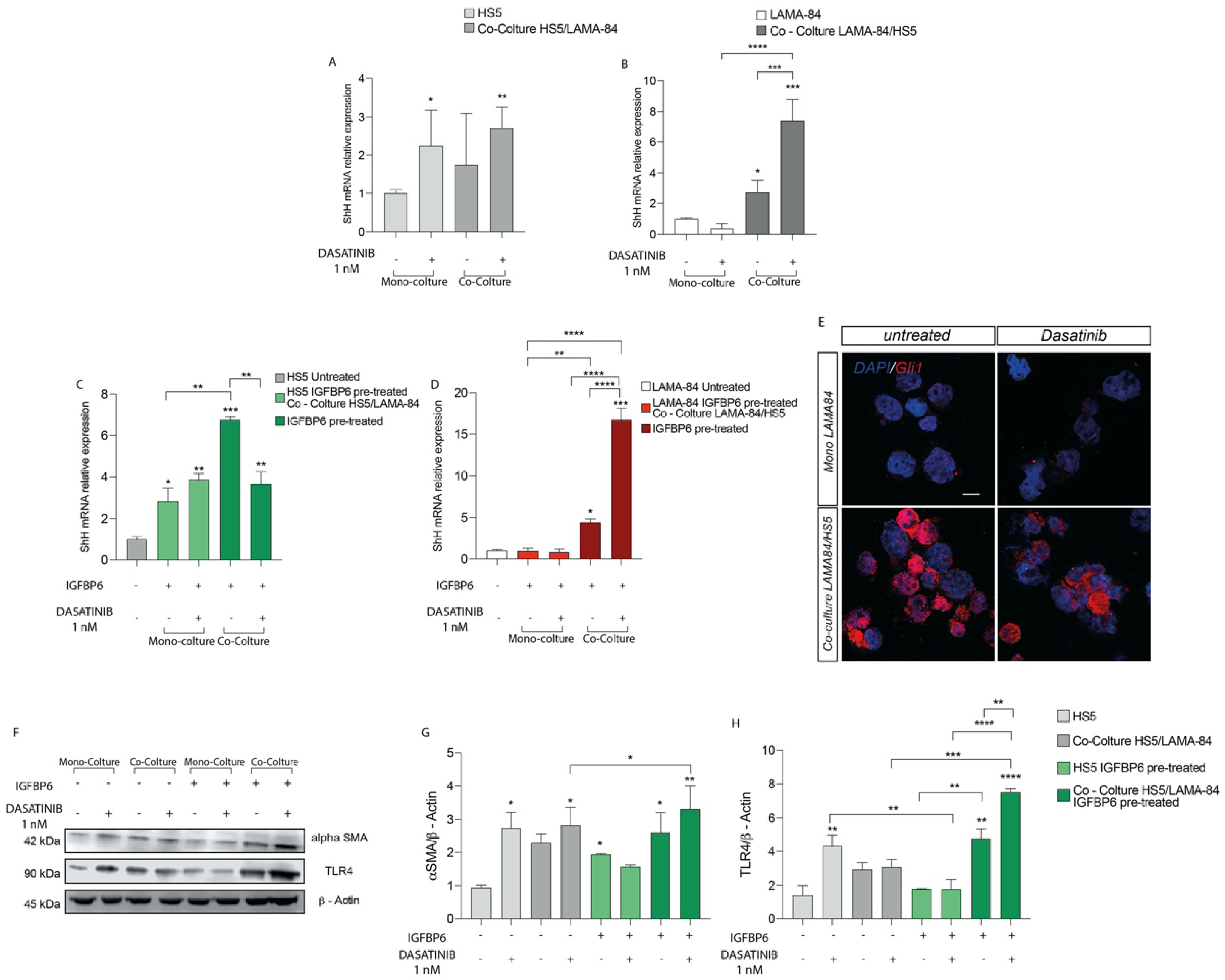 Life 13 00259 g003 Life 13 00259 g003