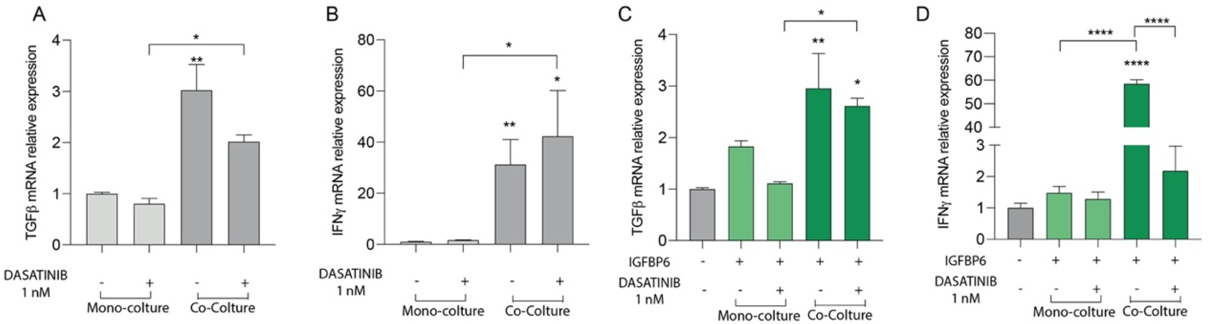 Life 13 00259 g004 Life 13 00259 g004
