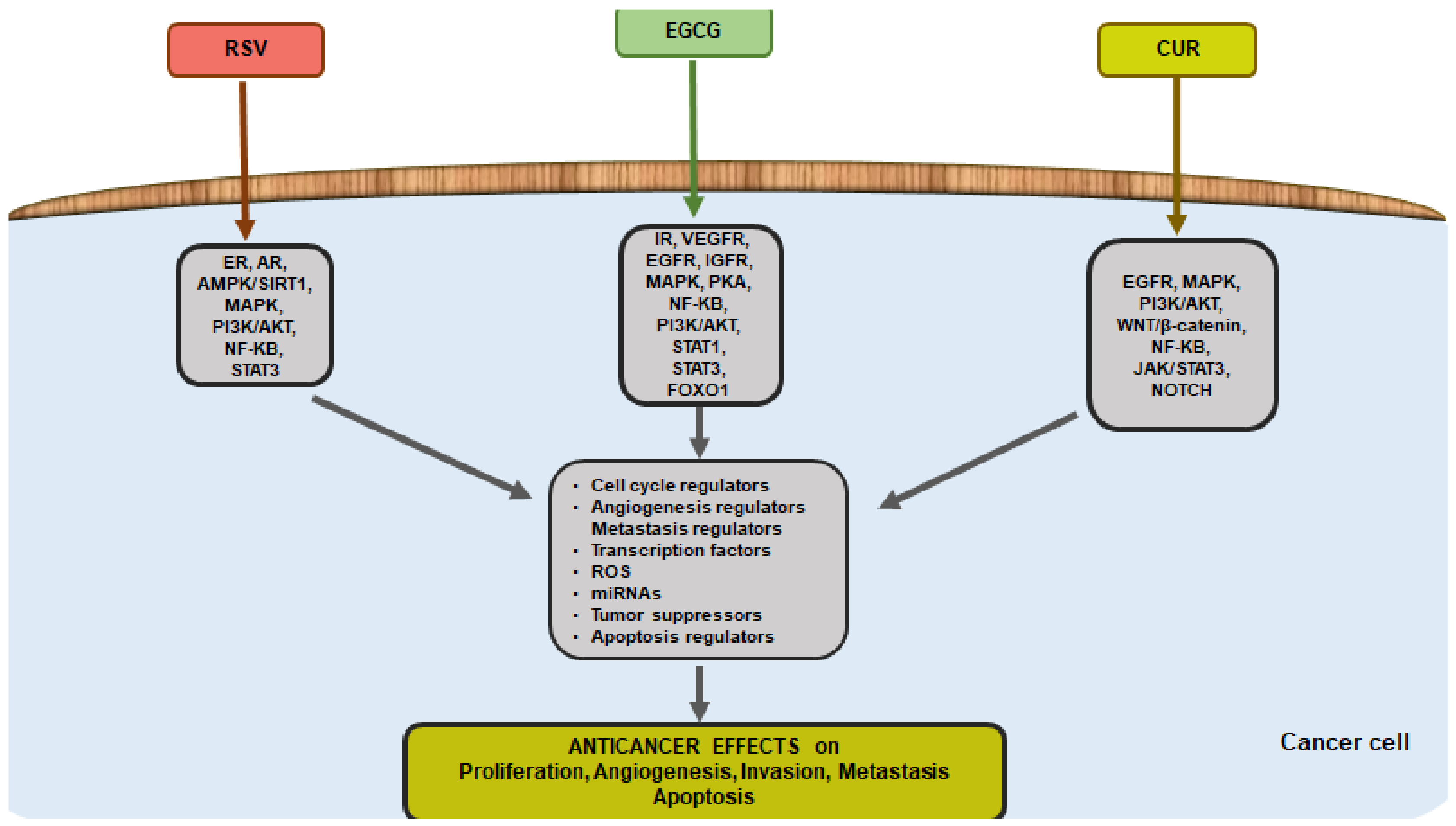 Life 13 00261 g002 Life 13 00261 g002