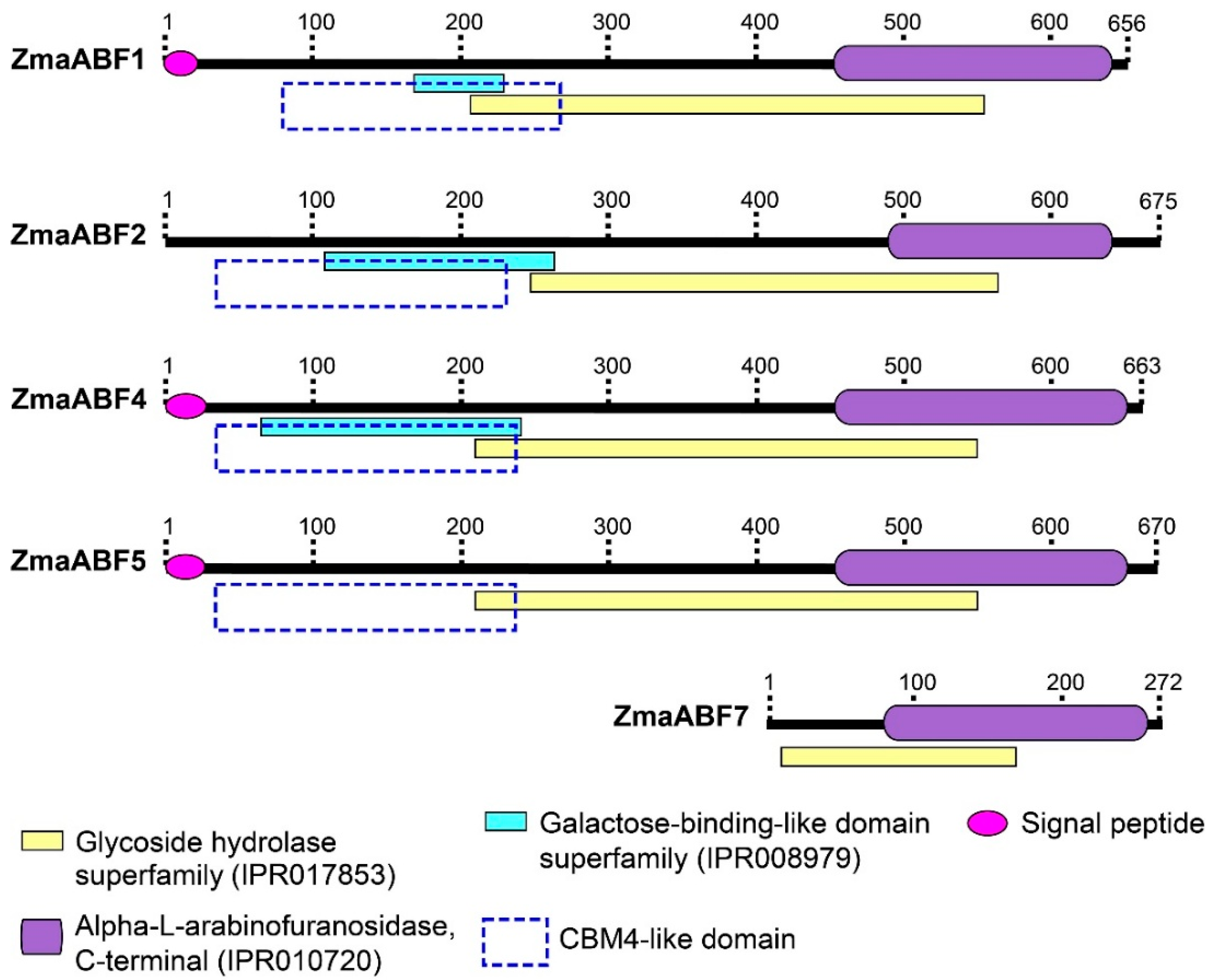 Life 13 00266 g001 Life 13 00266 g001